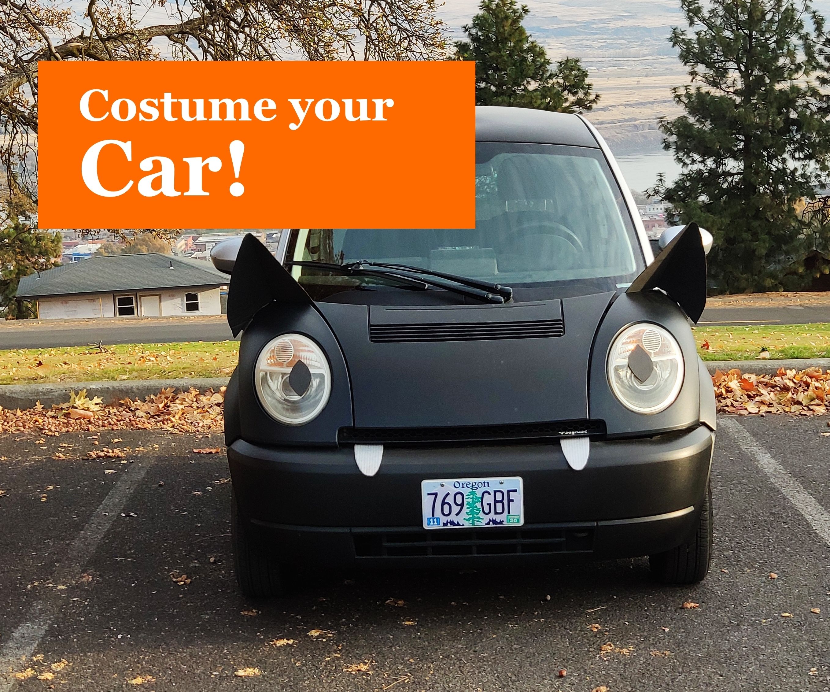 Costume Your Car!