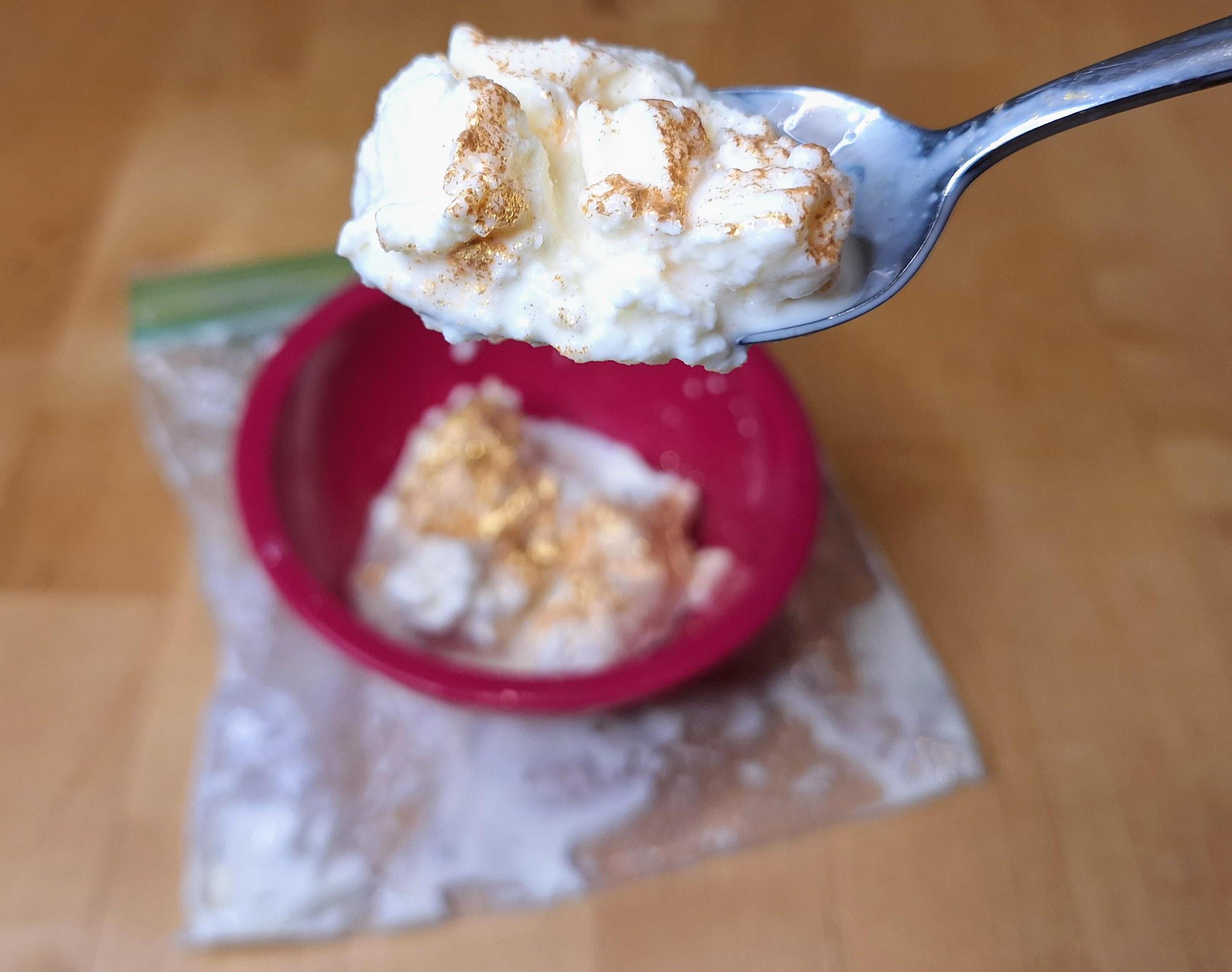 Fast and Easy DIY Homemade Organic Ice Cream - No Mixer Needed!