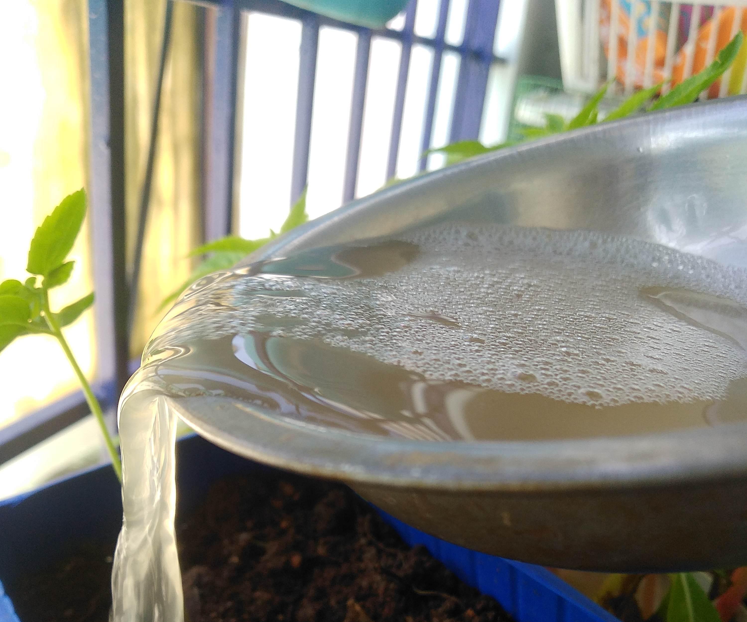 DIY Zero COST Fertilizer Using Potato Peels