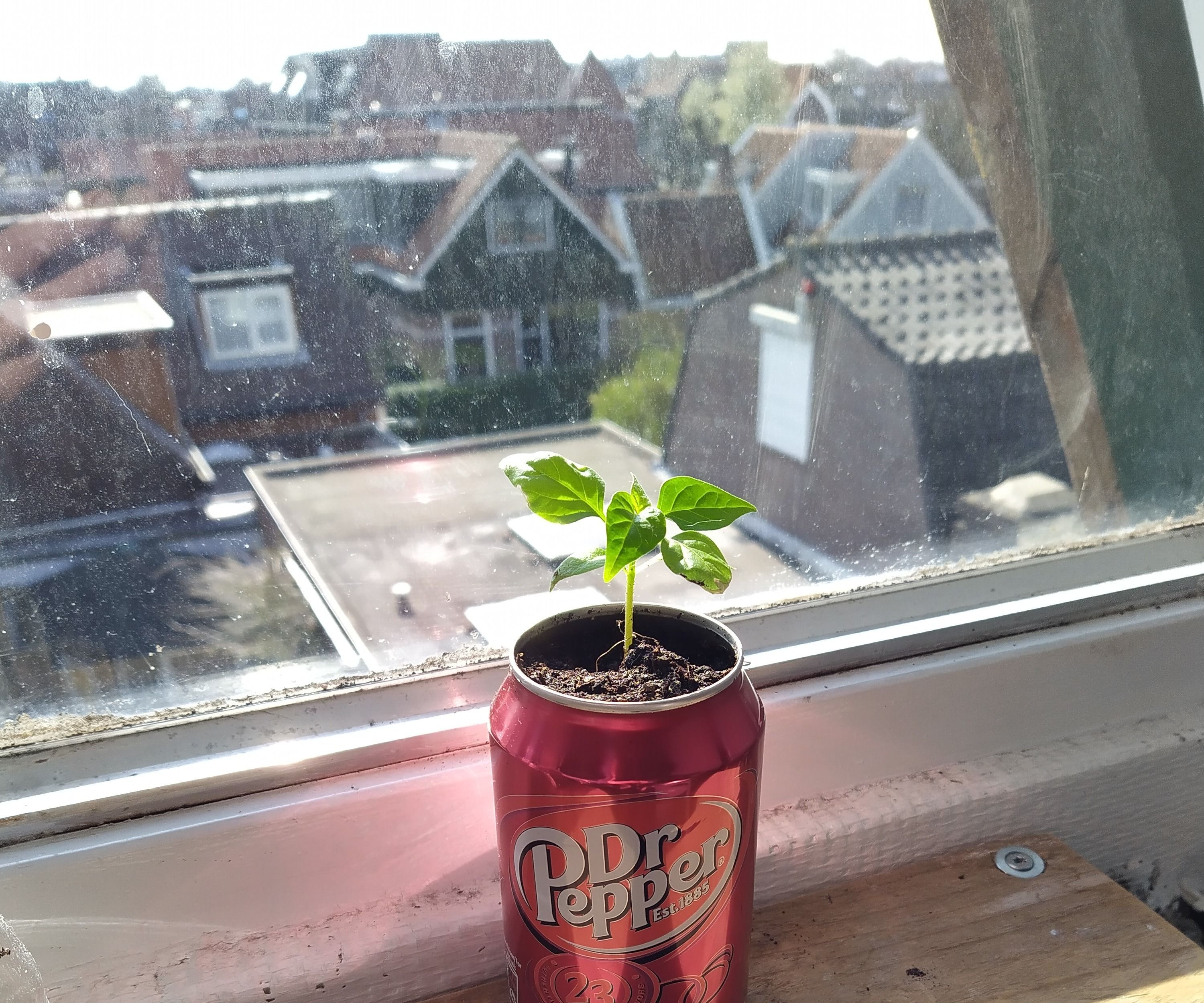 Dr. Pepper Sodacan Planter