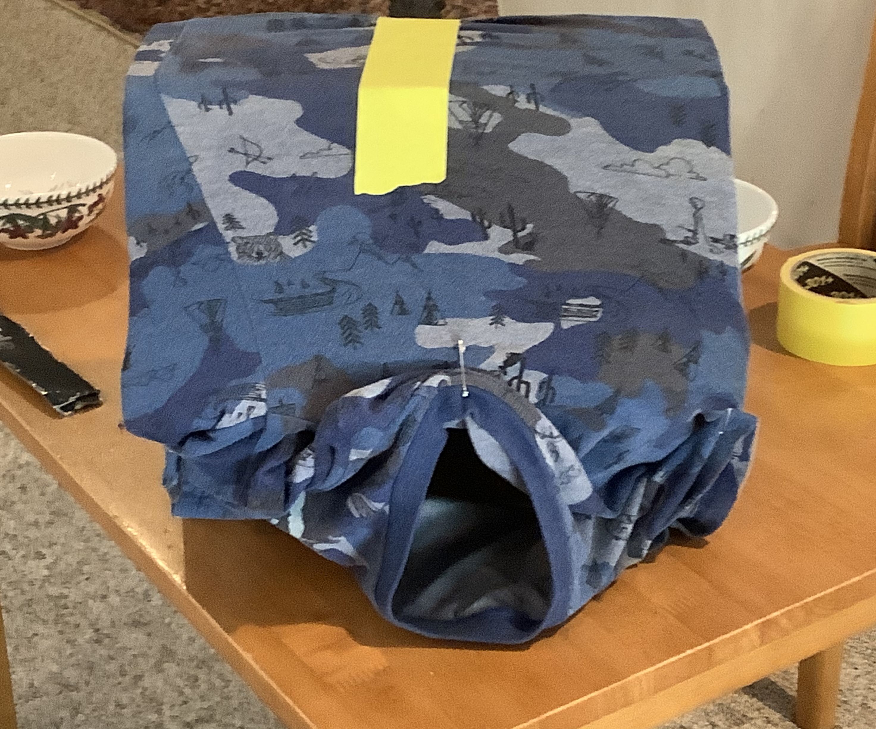 Indoor Cat Shelter With Water and Food