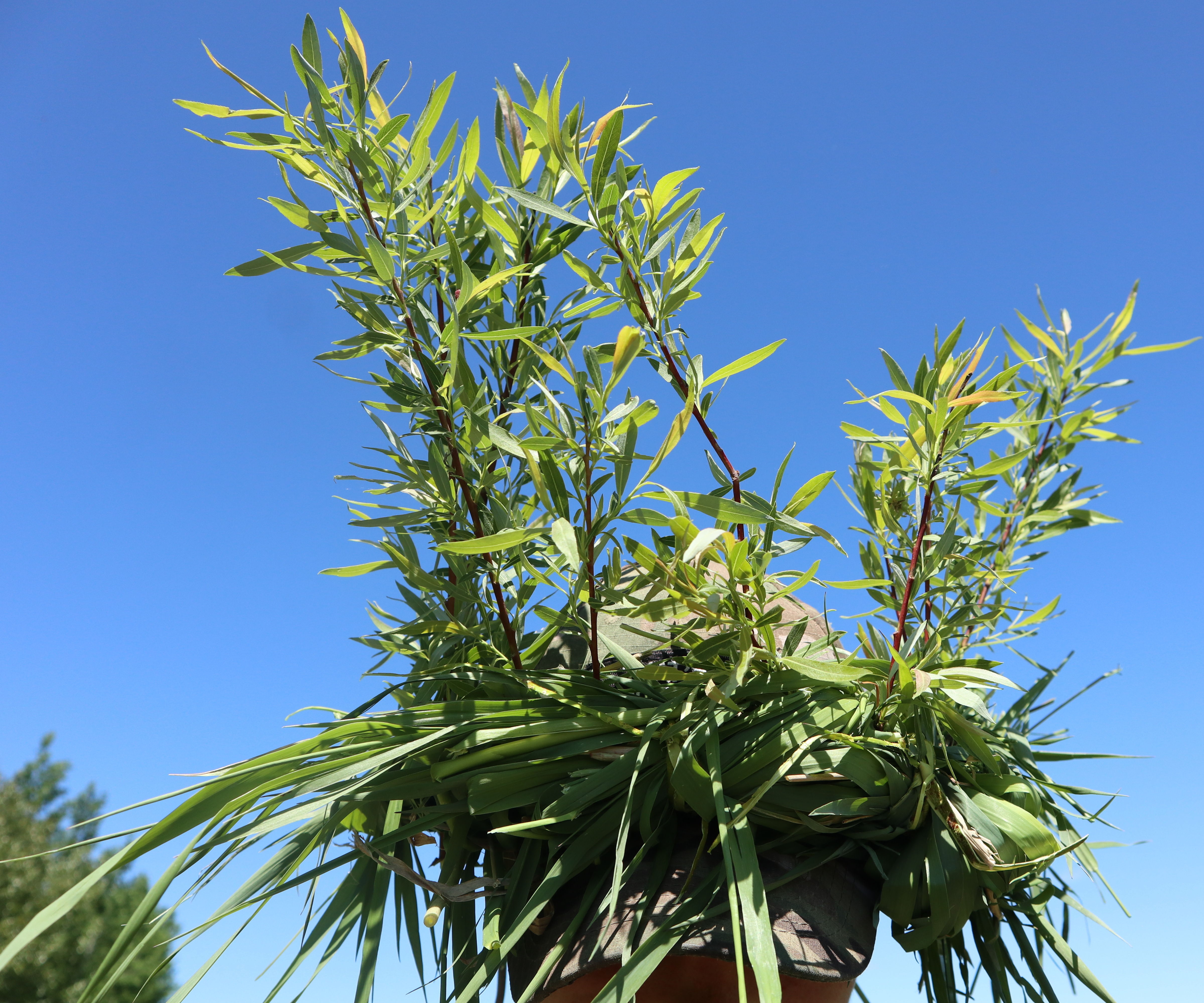 Biodegradable SERE Ghillie Hat 