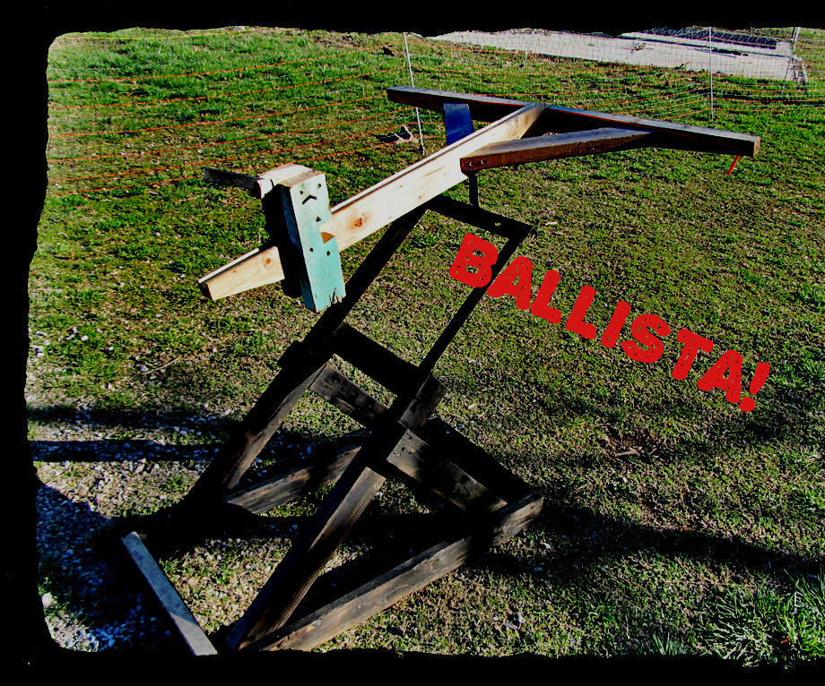 A Sneak Peek at What Is Next 