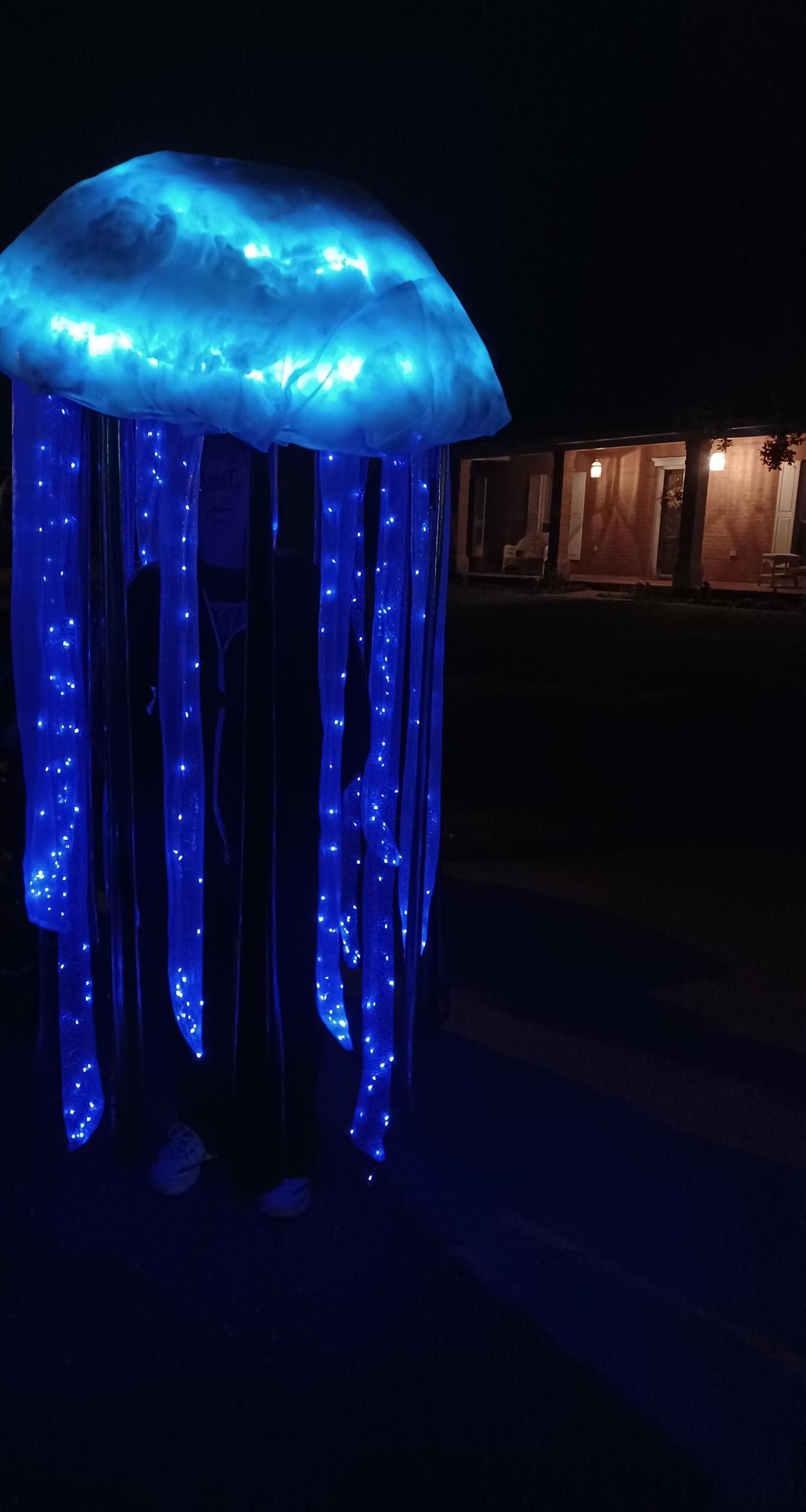 Jelly Fish Costume