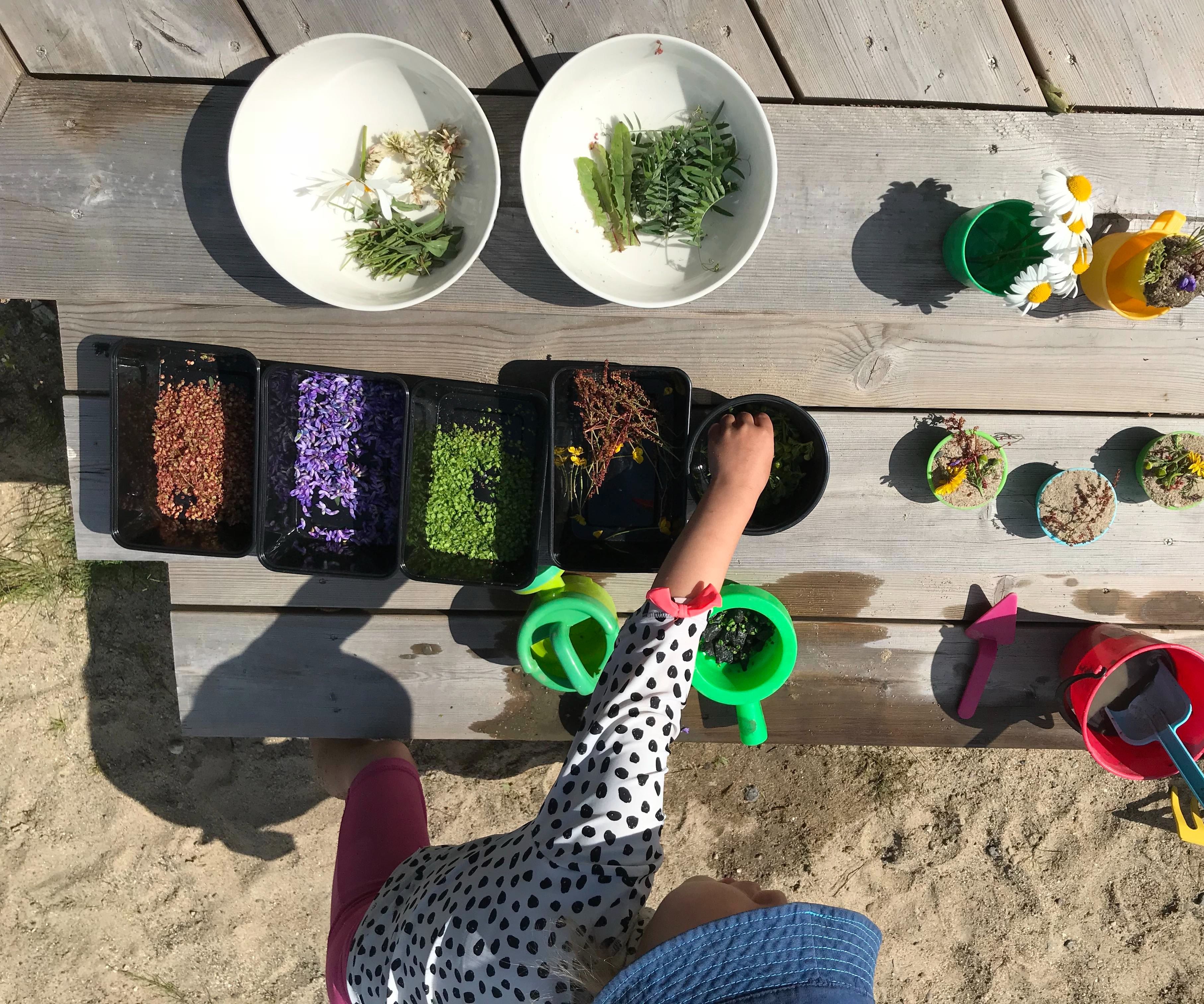 Exploring Nature, Creating and Decorating Fabulous Cakes!
