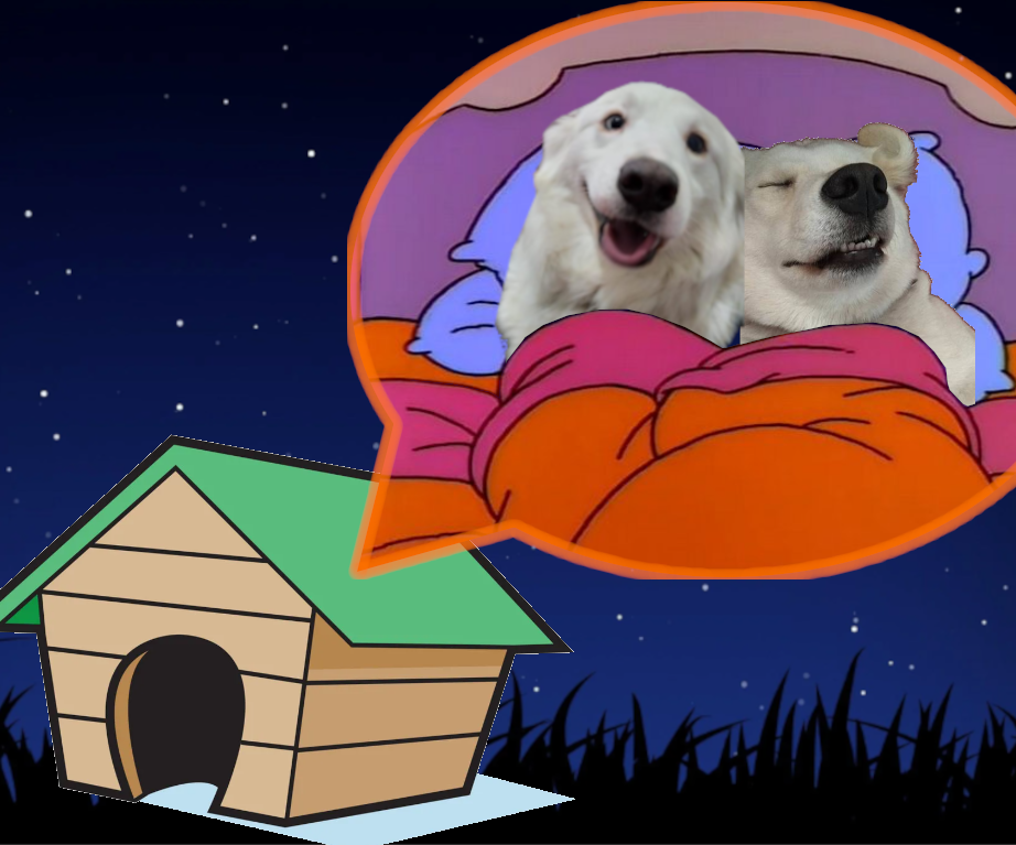 Dog House Warmer: Pewitos Calentitos