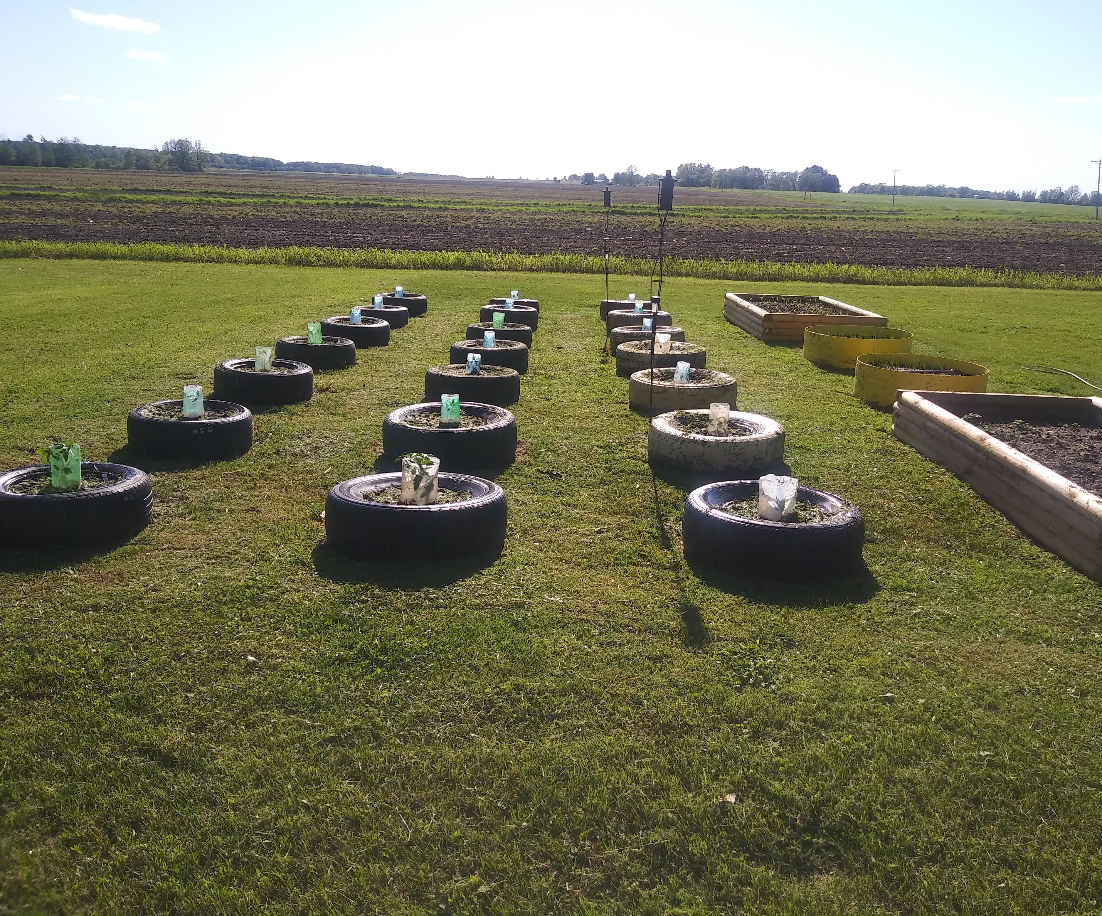 Simple Raised Garden