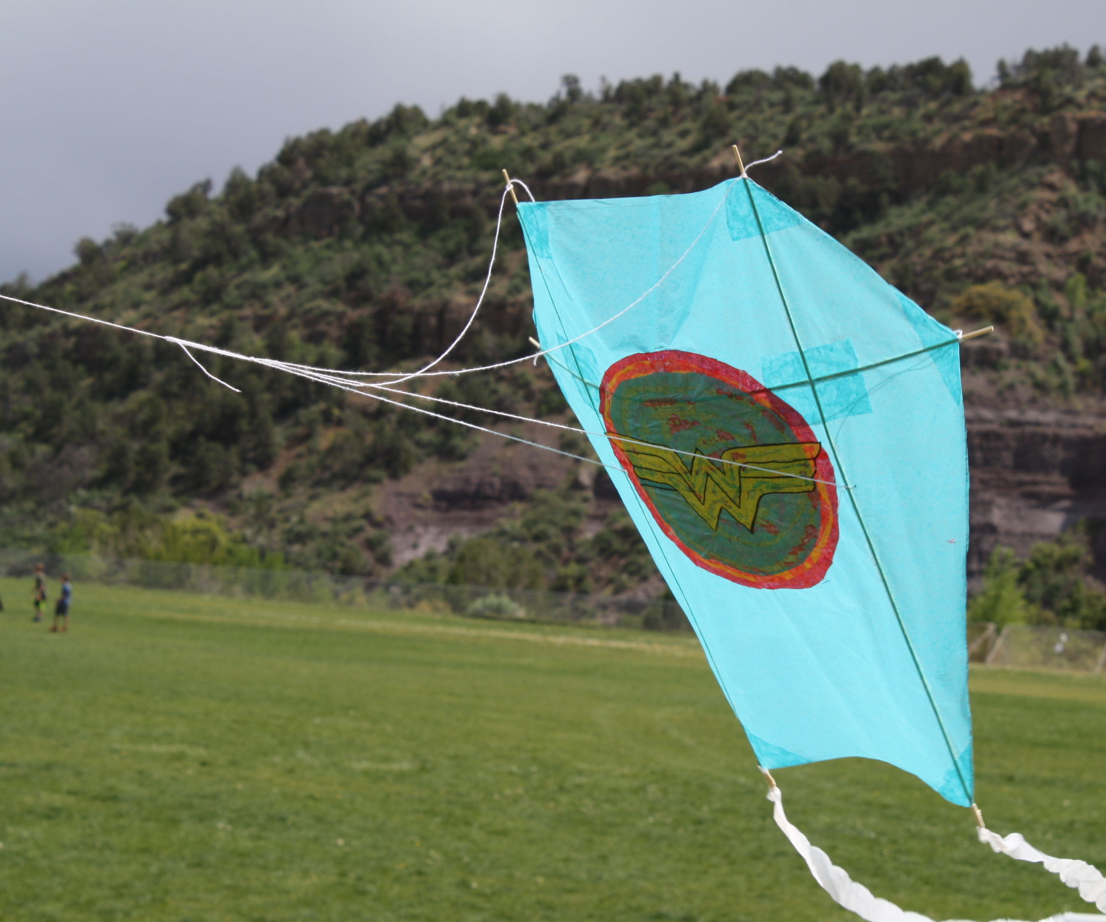 Wonder Woman Barn Door Kite by She-Ra and Clara