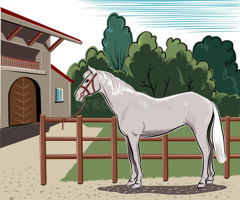 Quick-Release Knot (Equestrian)