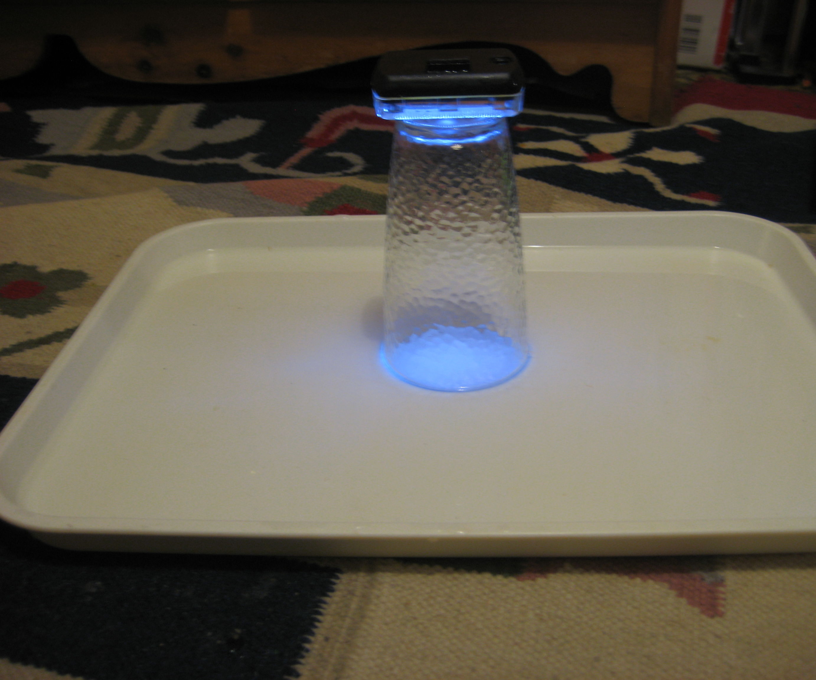 Another Simple Flea Trap