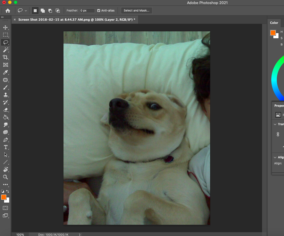 Select and Mask/Filters