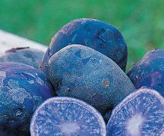 How to Make Blue Mashed Potatoes