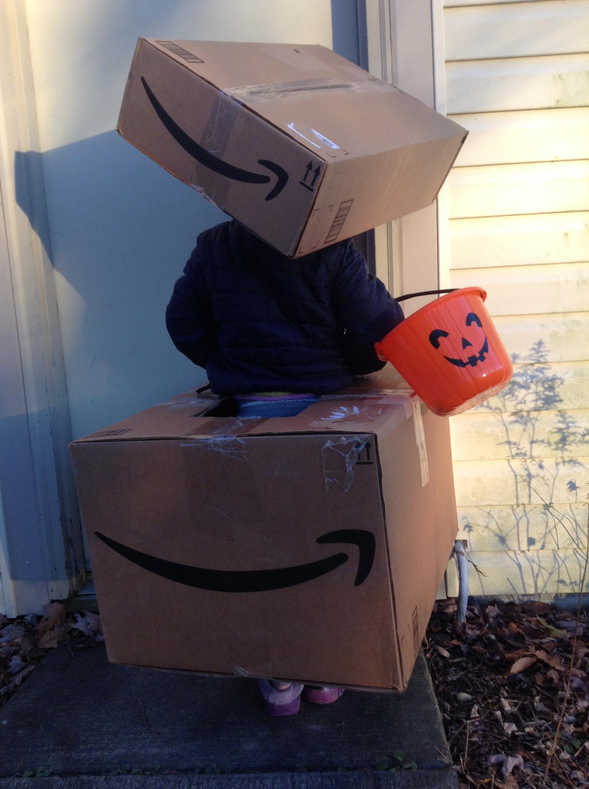 Amazon Delivery Box Costume
