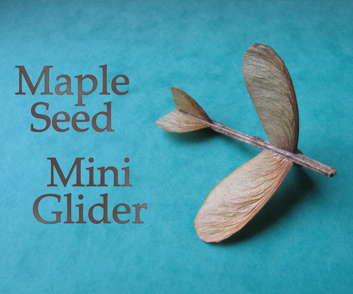 Maple Seed Mini Glider
