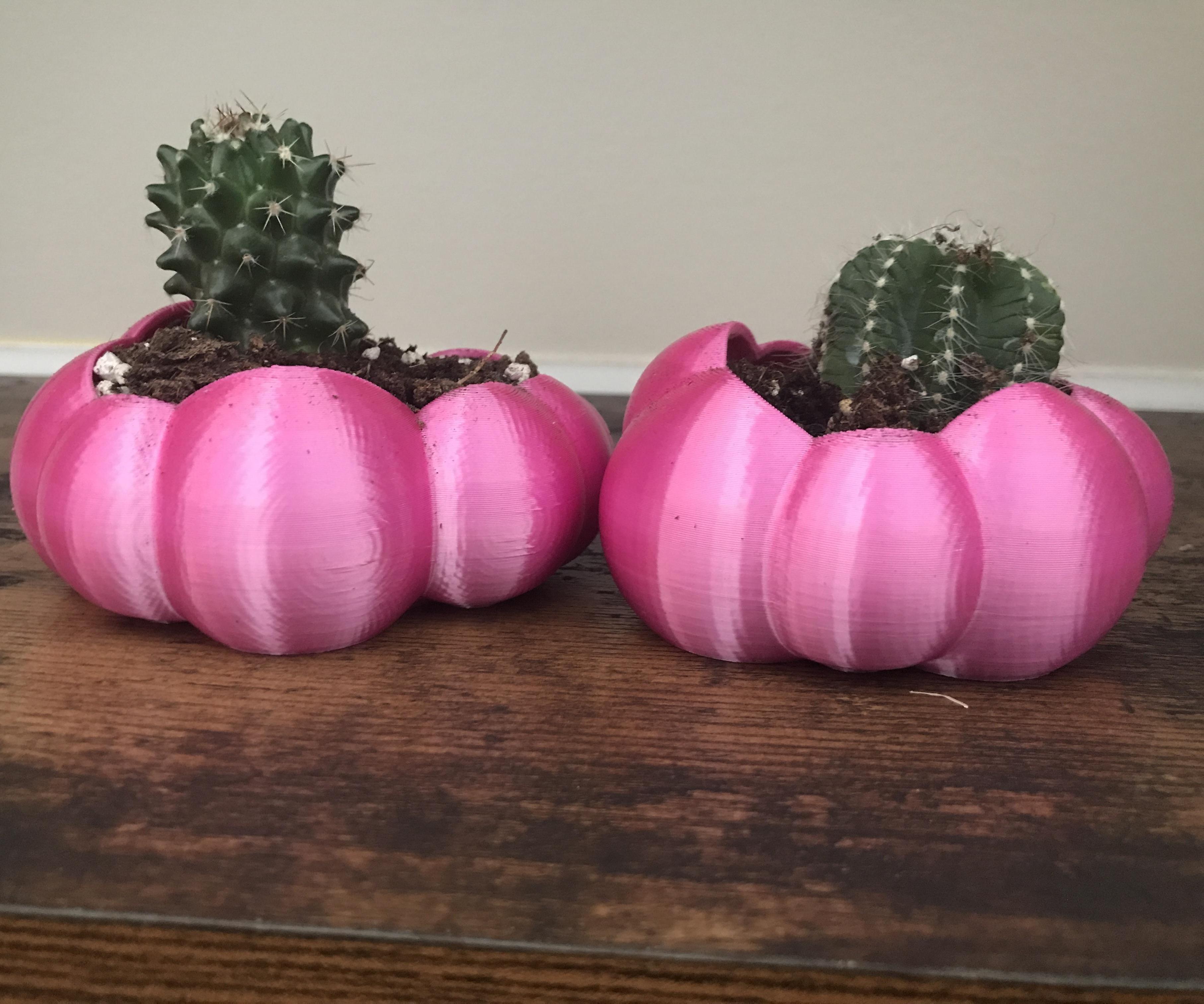 3D Print a Cloud Planter With TinkerCad!