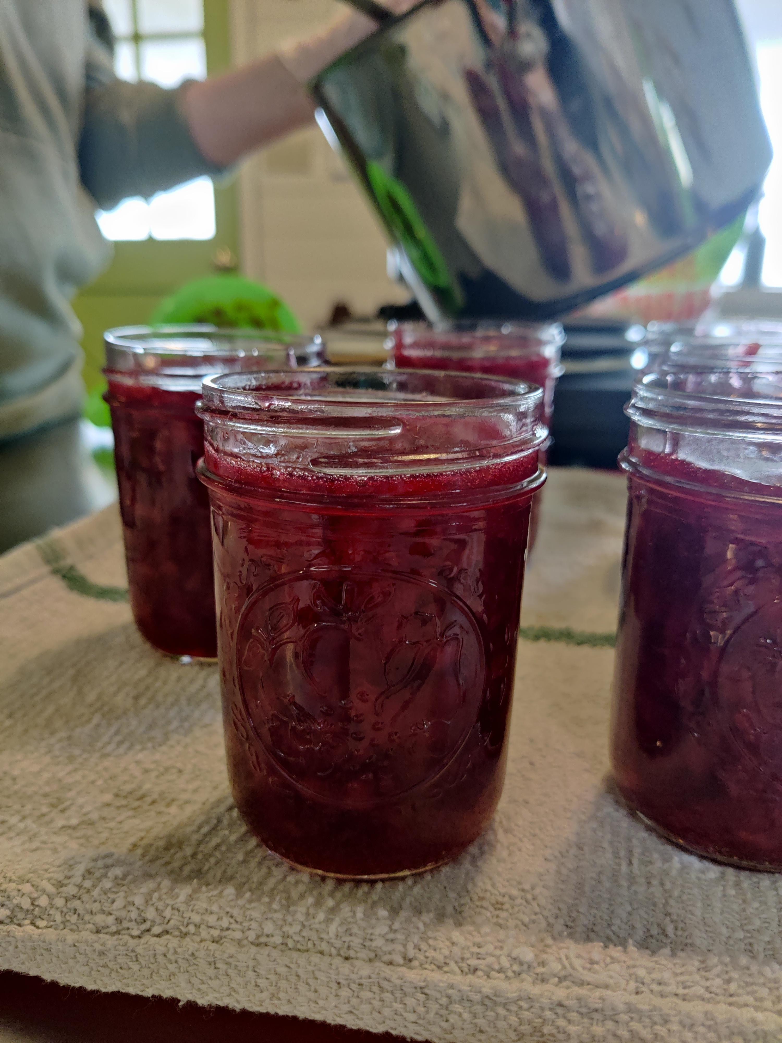 Tart Cherry Jam - Beginner Friendly