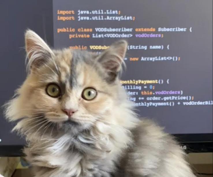 Make Your Fridge PURRfect