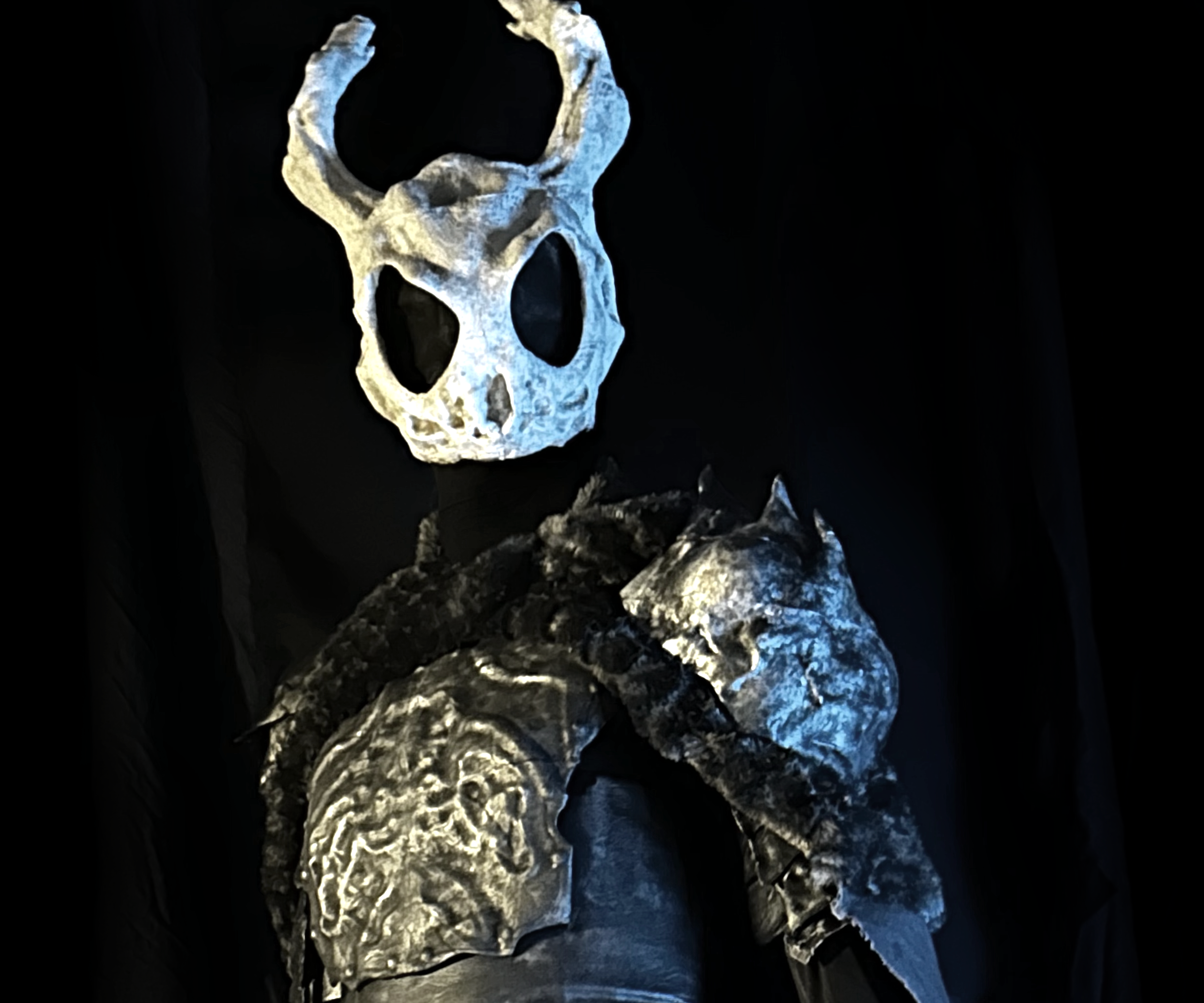 (Dark Fantasy) Hollow Knight Cosplay