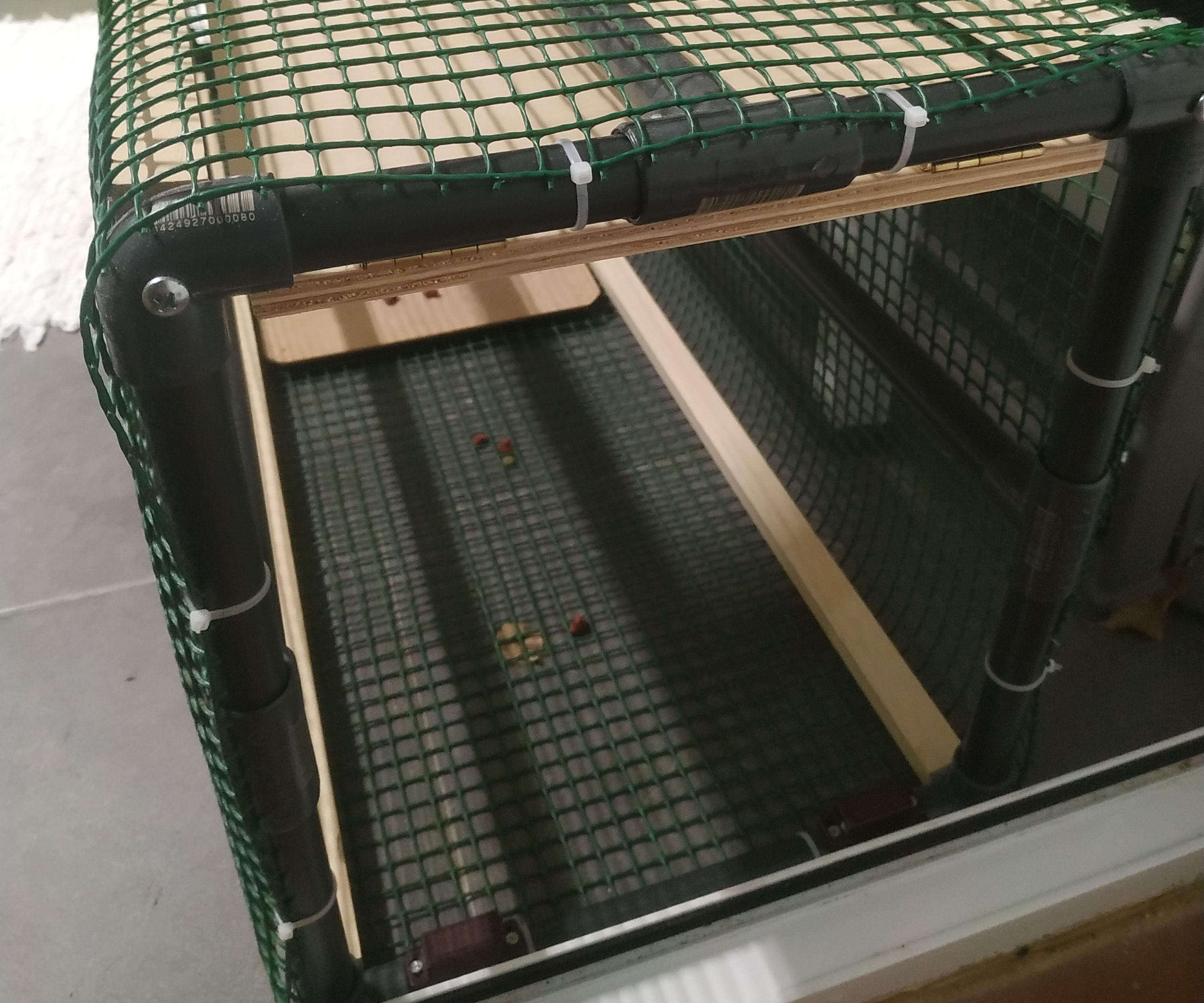 Trampa Para Gatos Callejeros