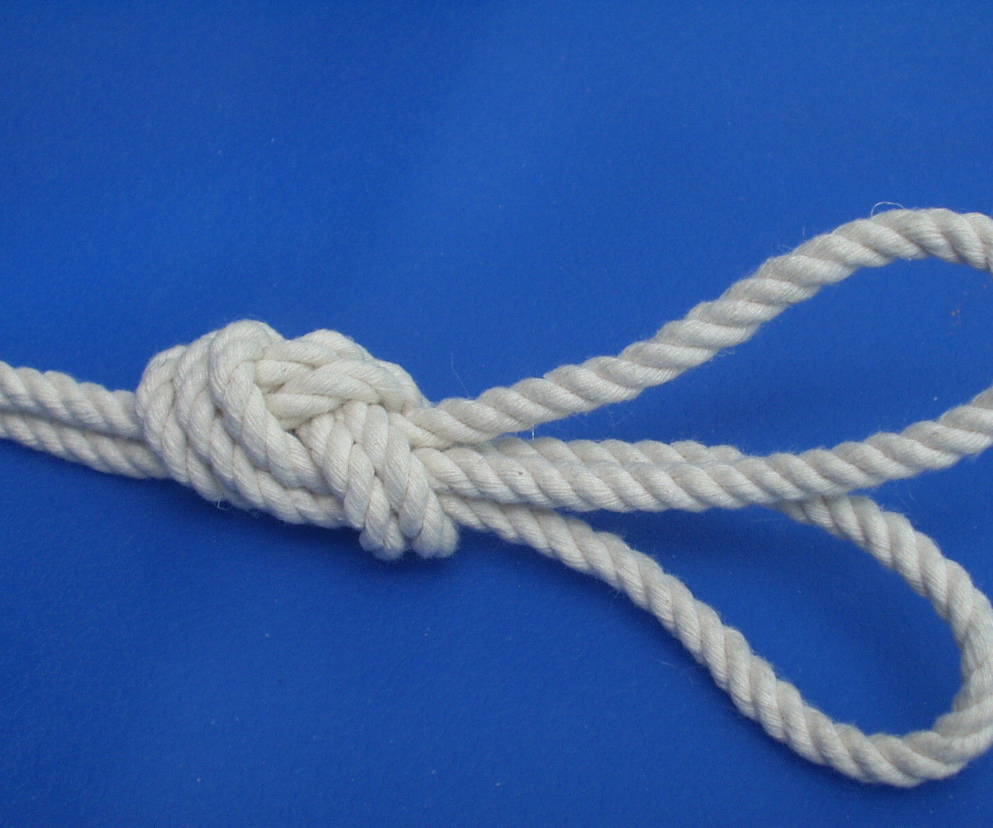 Bunny Ears Figure Eight Knot
