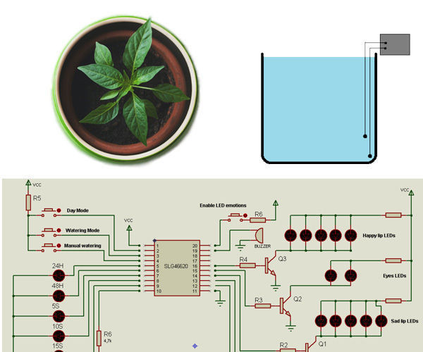 DIY Automatic Watering System