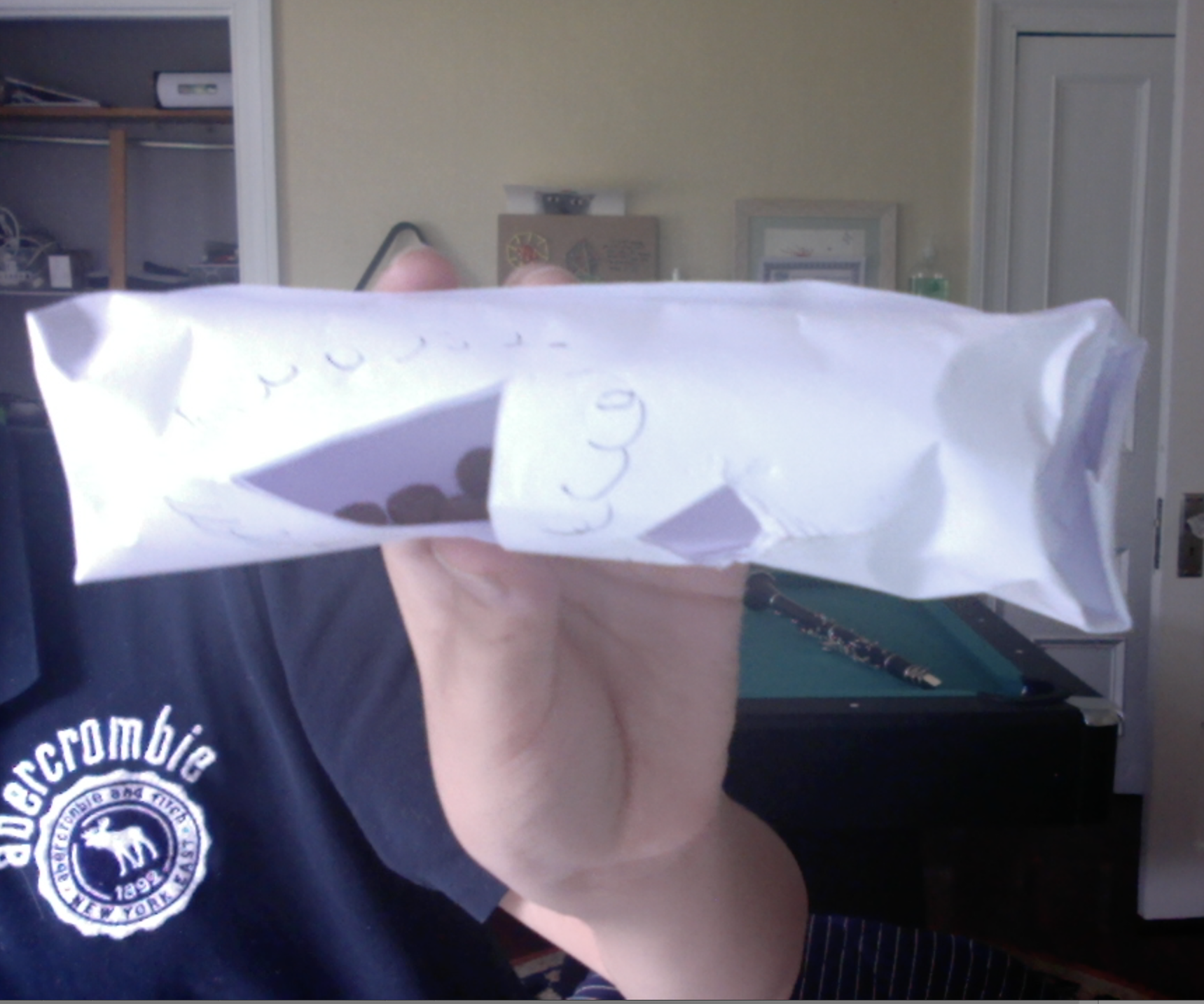 Toilet Paper Tube Cat Toy!