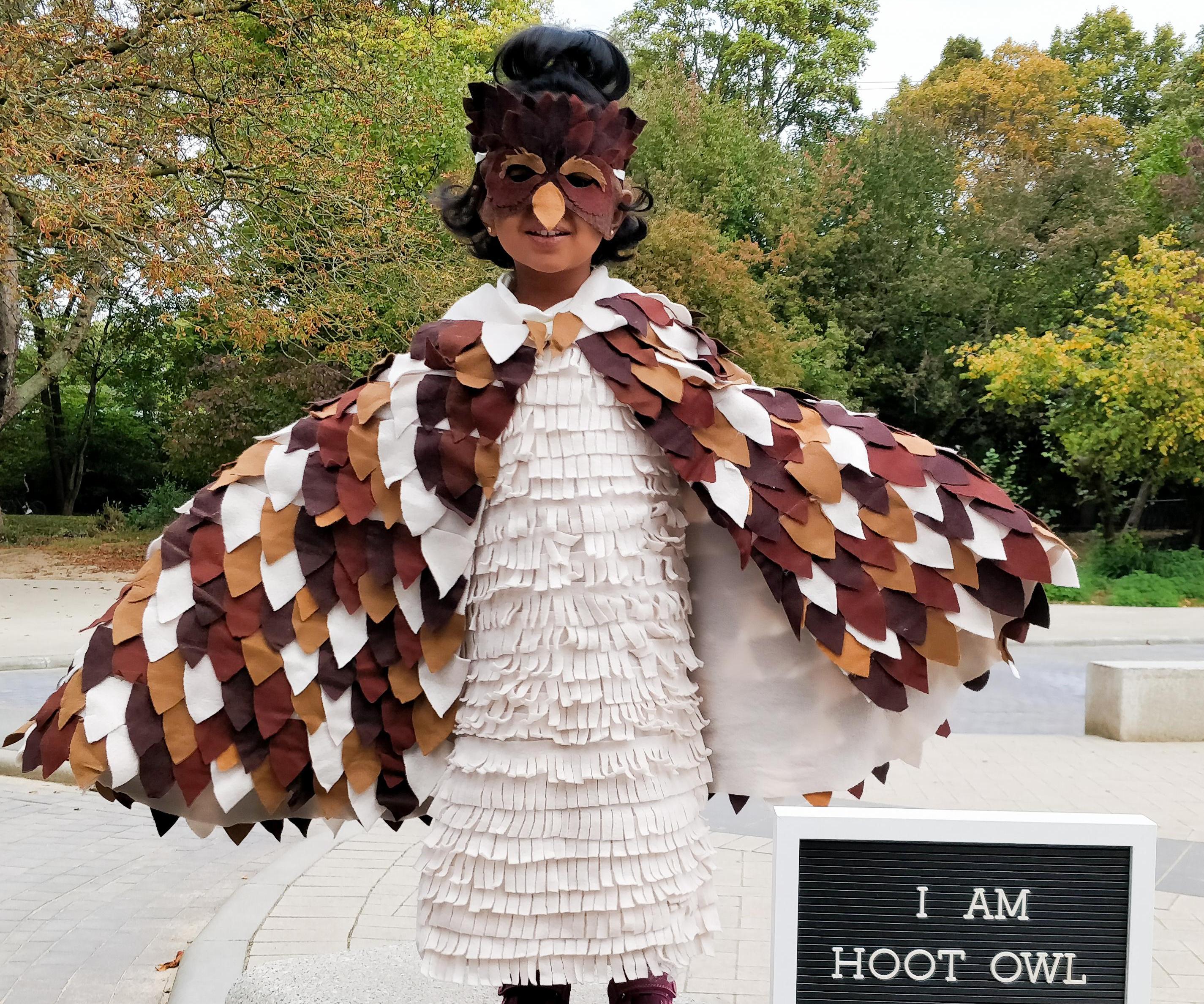 No-sew Owl Costume