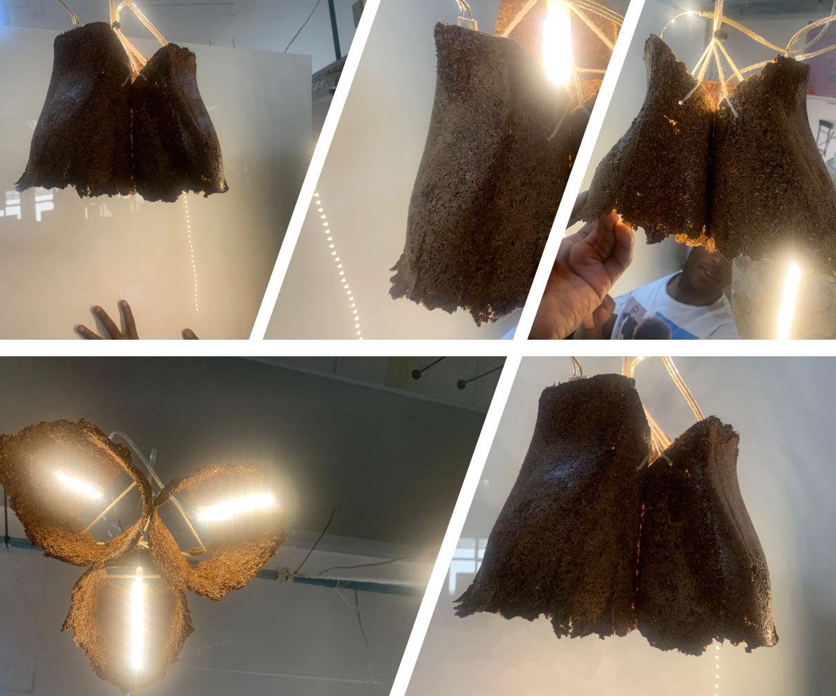 Biodegrable Rooibos Biocomposite Smart Hanging Luminaire (Conceptual Interactive experience)