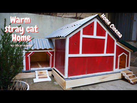 The Most Luxurious Stray Cat Shelter
