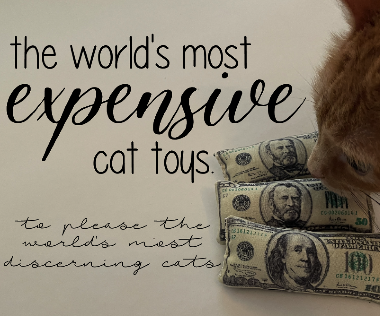 The World's Most Expensive Cat Toys