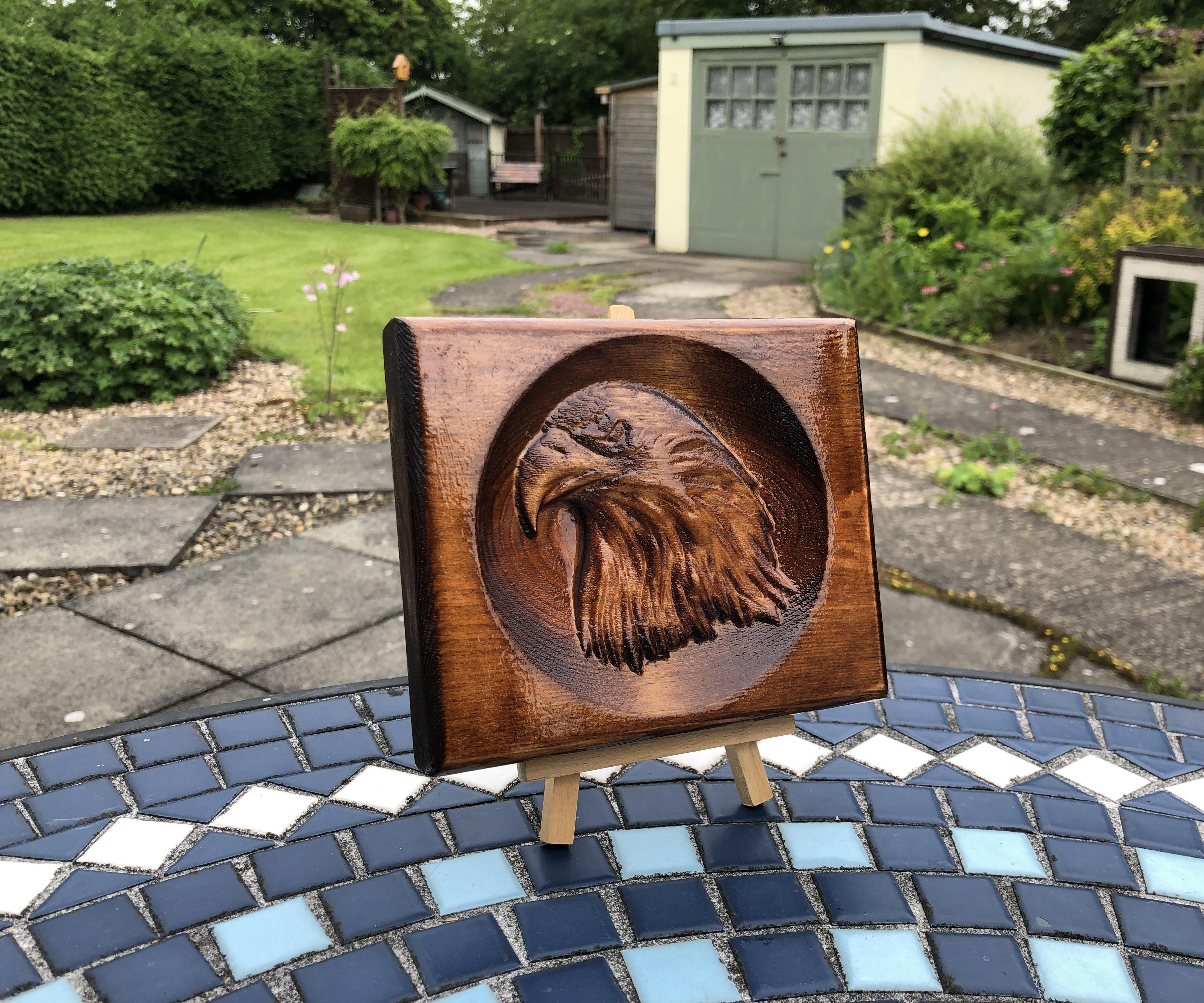 VCarve Eagles Head 3D First Attempt