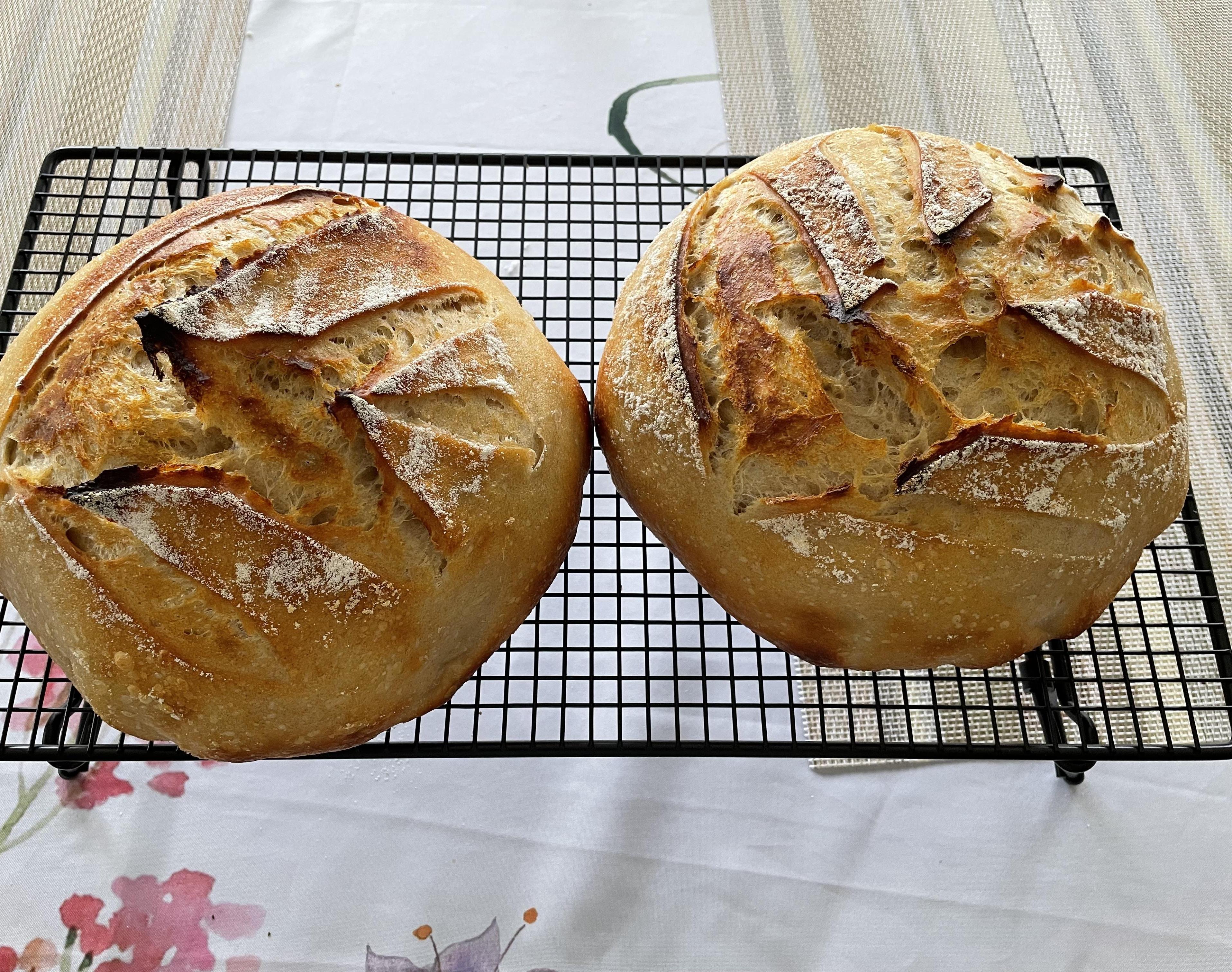 Sourdough Bread