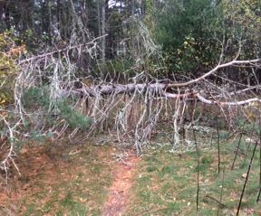 Mountain Bike Folding Saw Holder