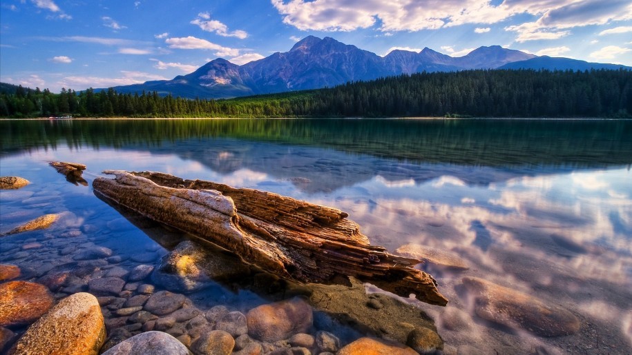 Relaxing-HD-Wallpaper-lake-calm-transparent-water-dry-wood-stone-pine-forest-mountains-sky-915x515.jpg