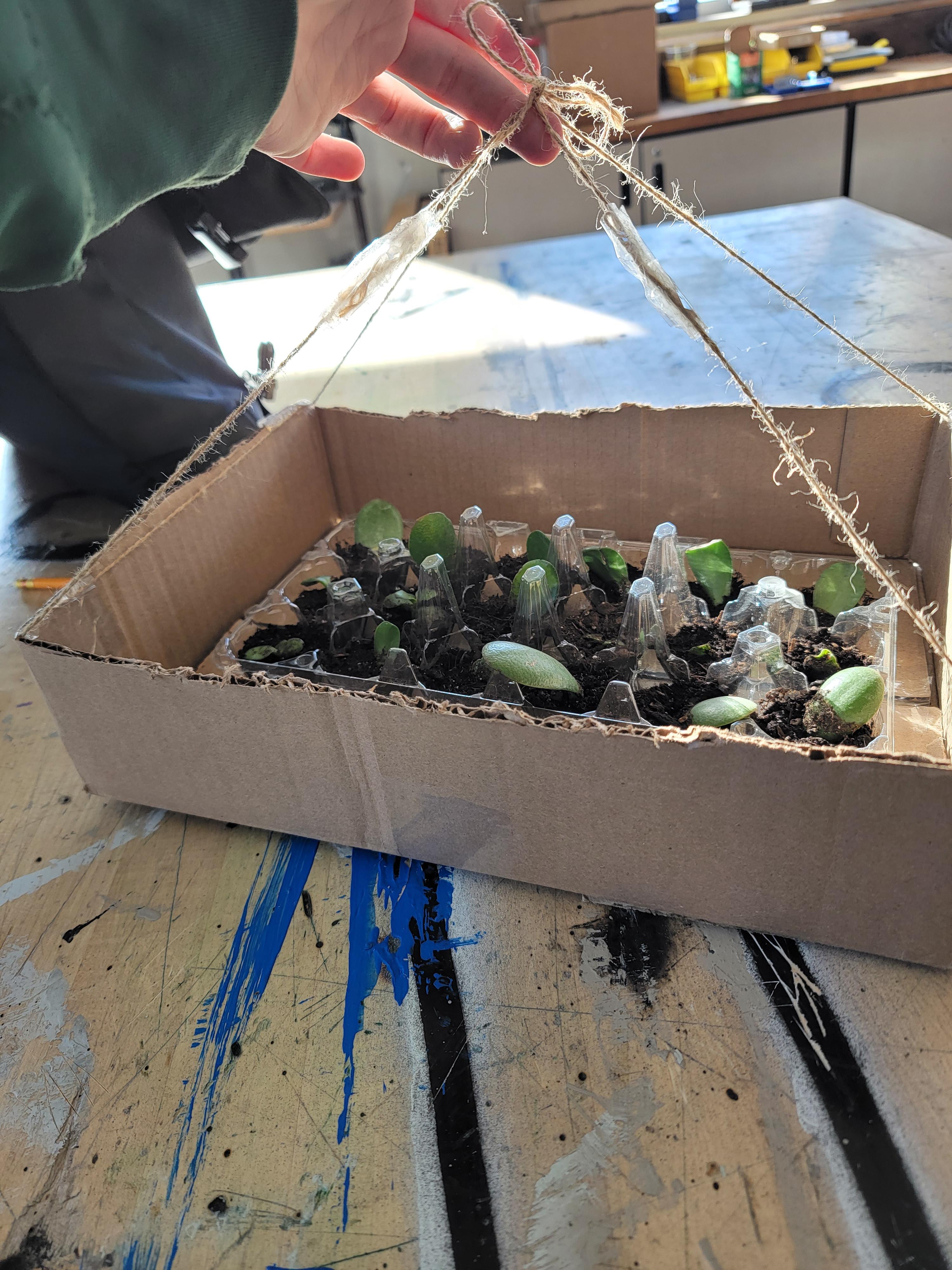 Planter Out of Recycled Materials.  Including the Plant