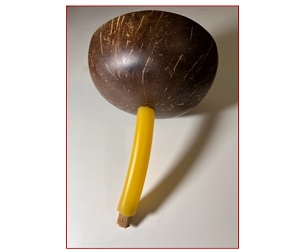 Unusual Use of Plant Xylem & Coconut Shell to Make Water Filter