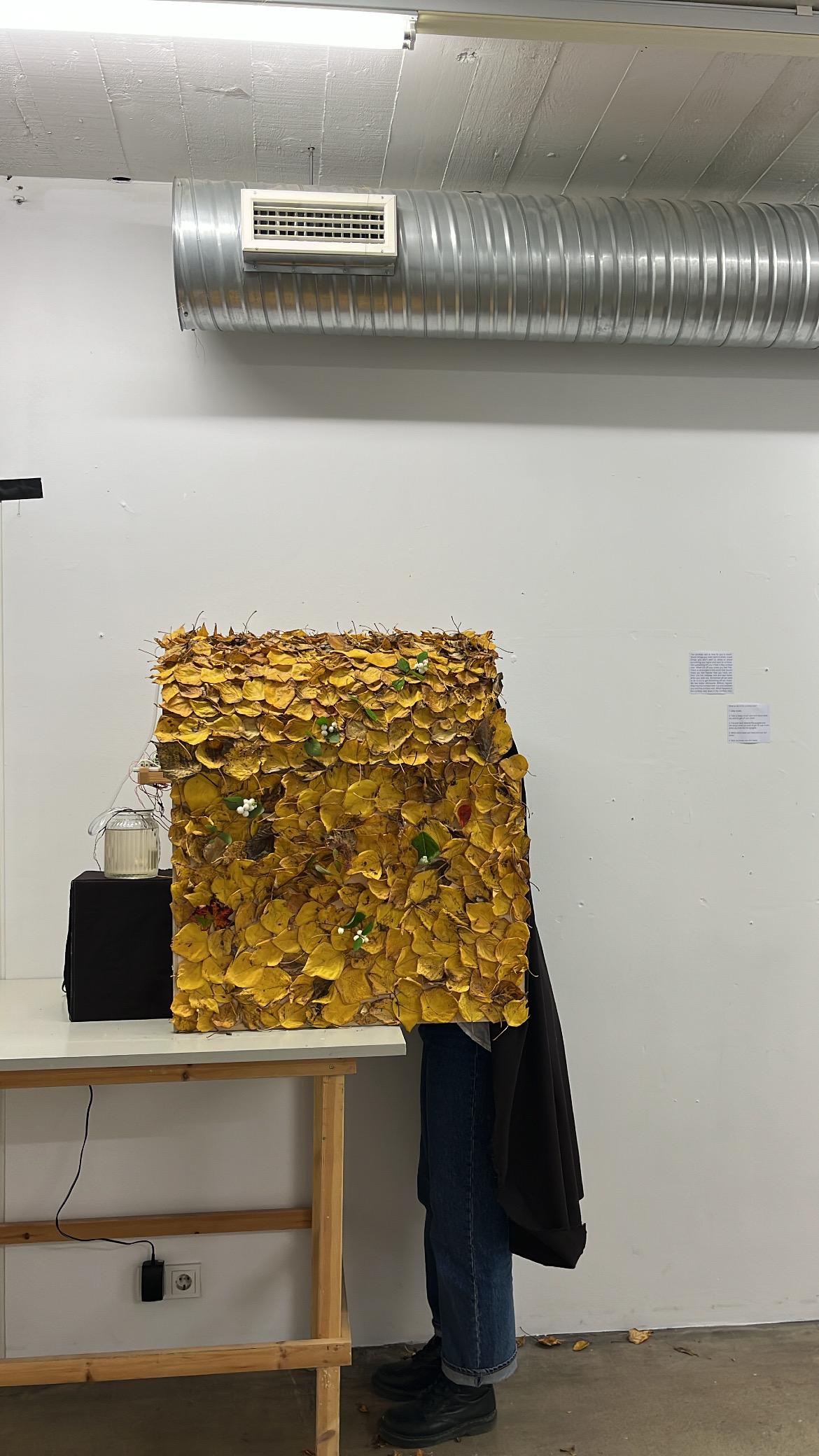 Confess Nest - Interactive Design