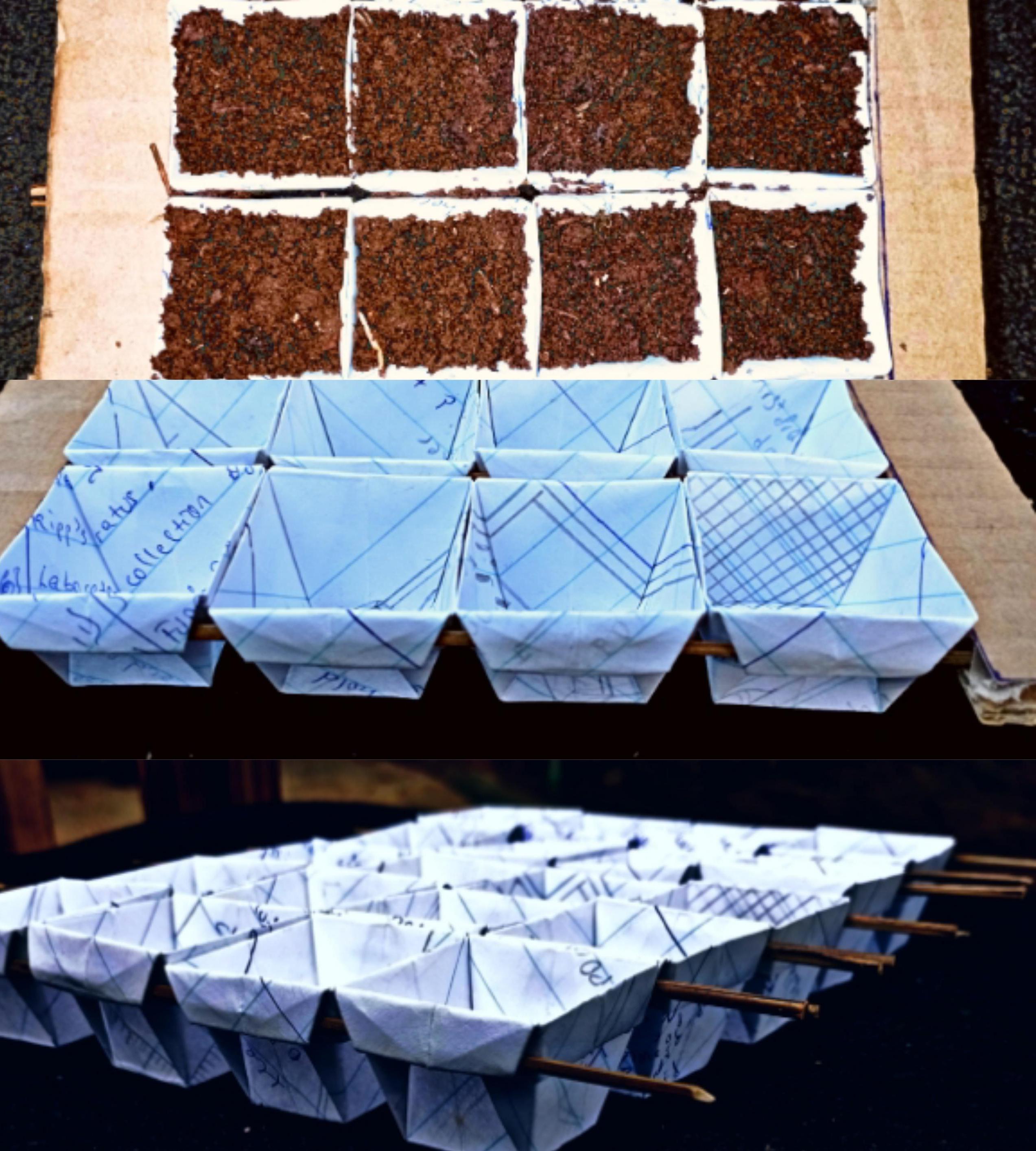 Origami: Paper Seedling Tray.