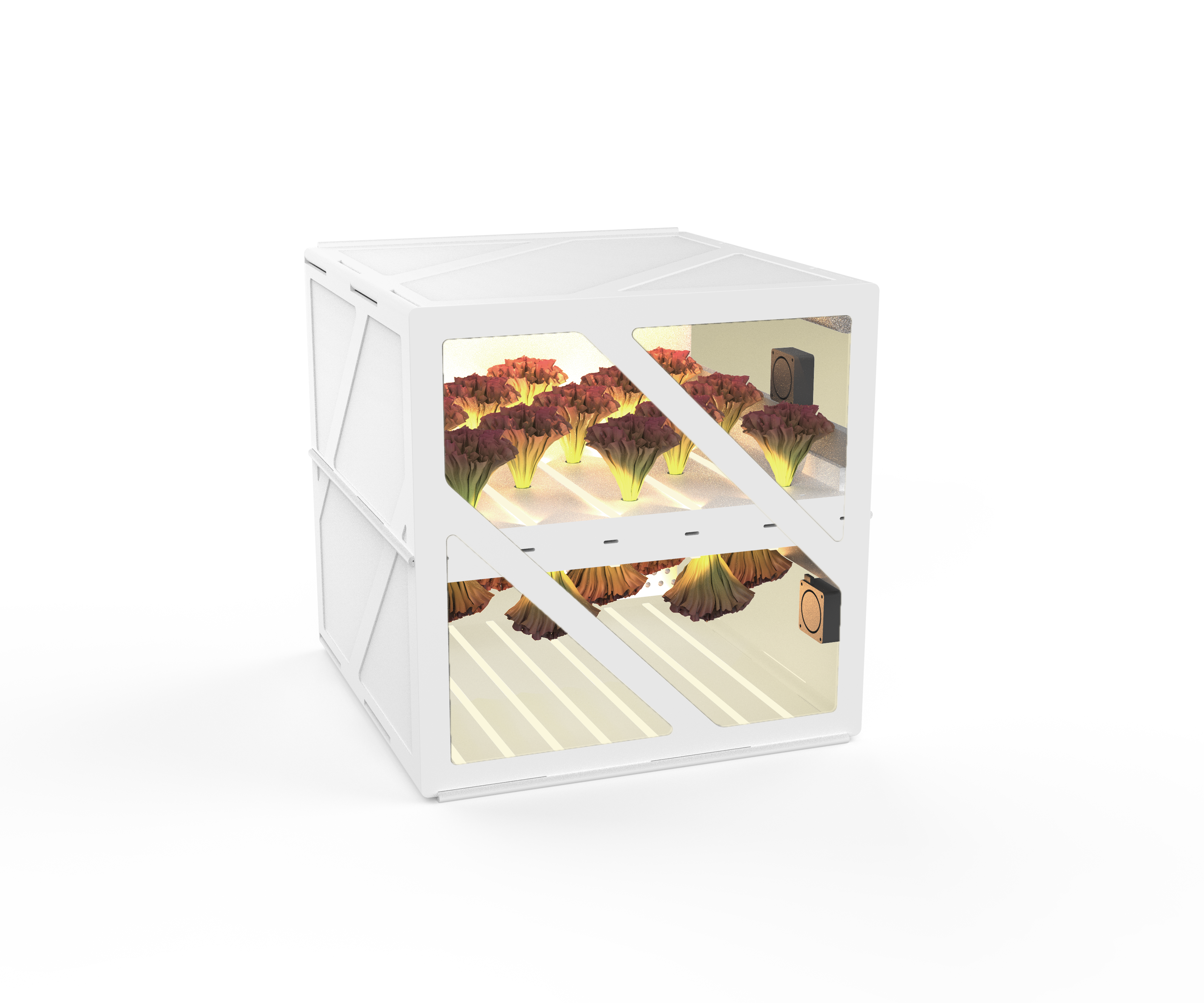 Checkerboard AstroGarden