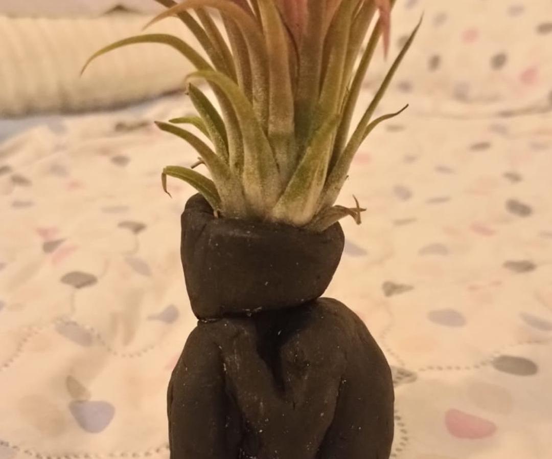 Clay plant+silicon mold