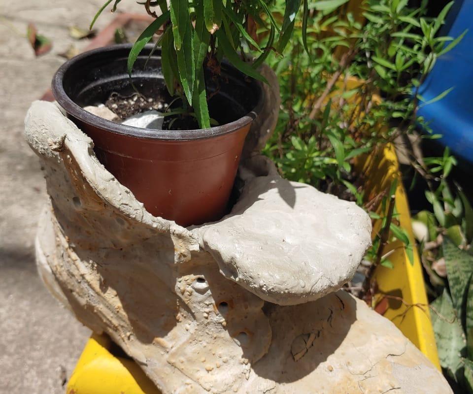 Old Boots Planters