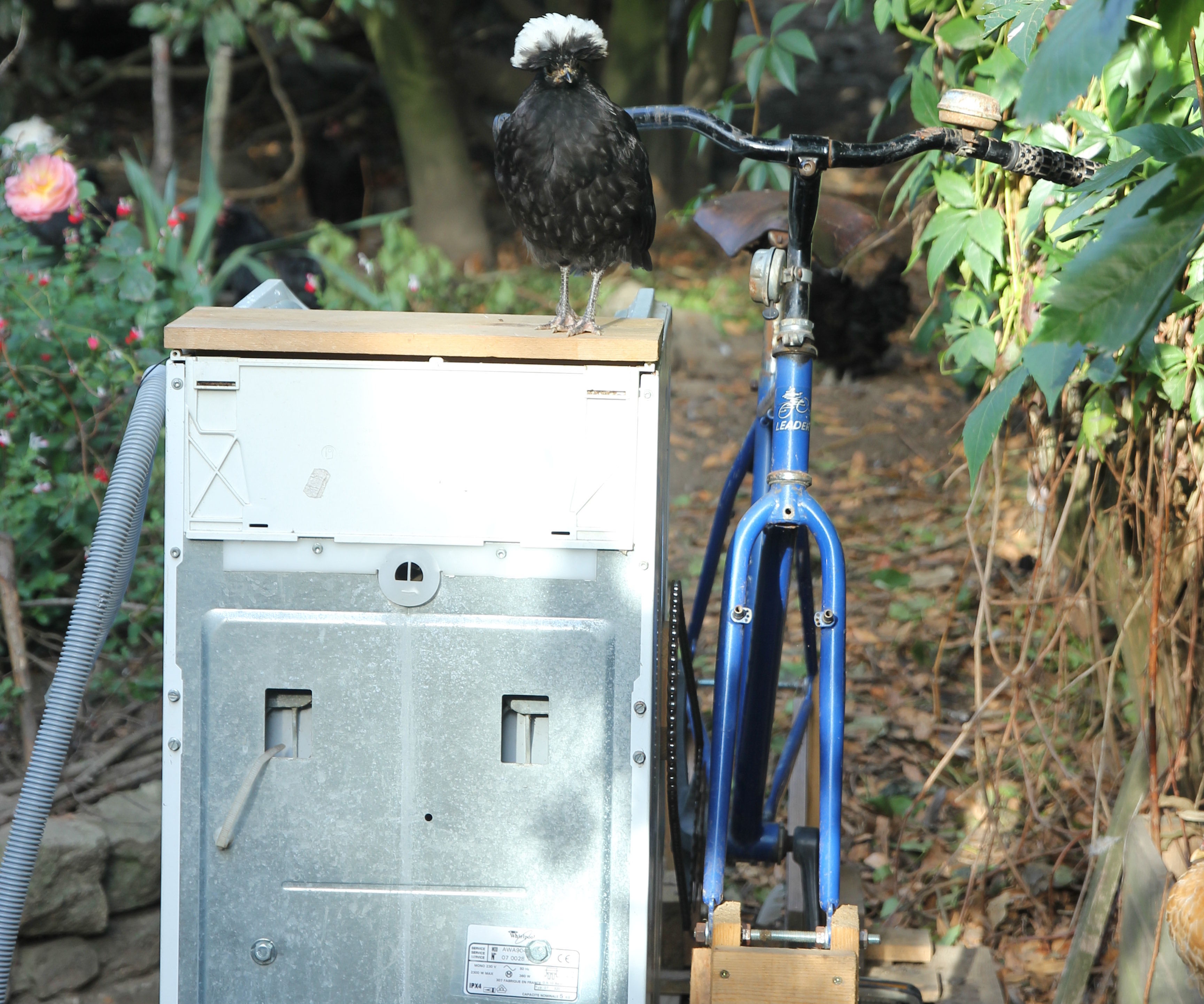 Reusing a Defunct Top-Loading Washing Machine by Converting It to Pedal Power - Step-by-step