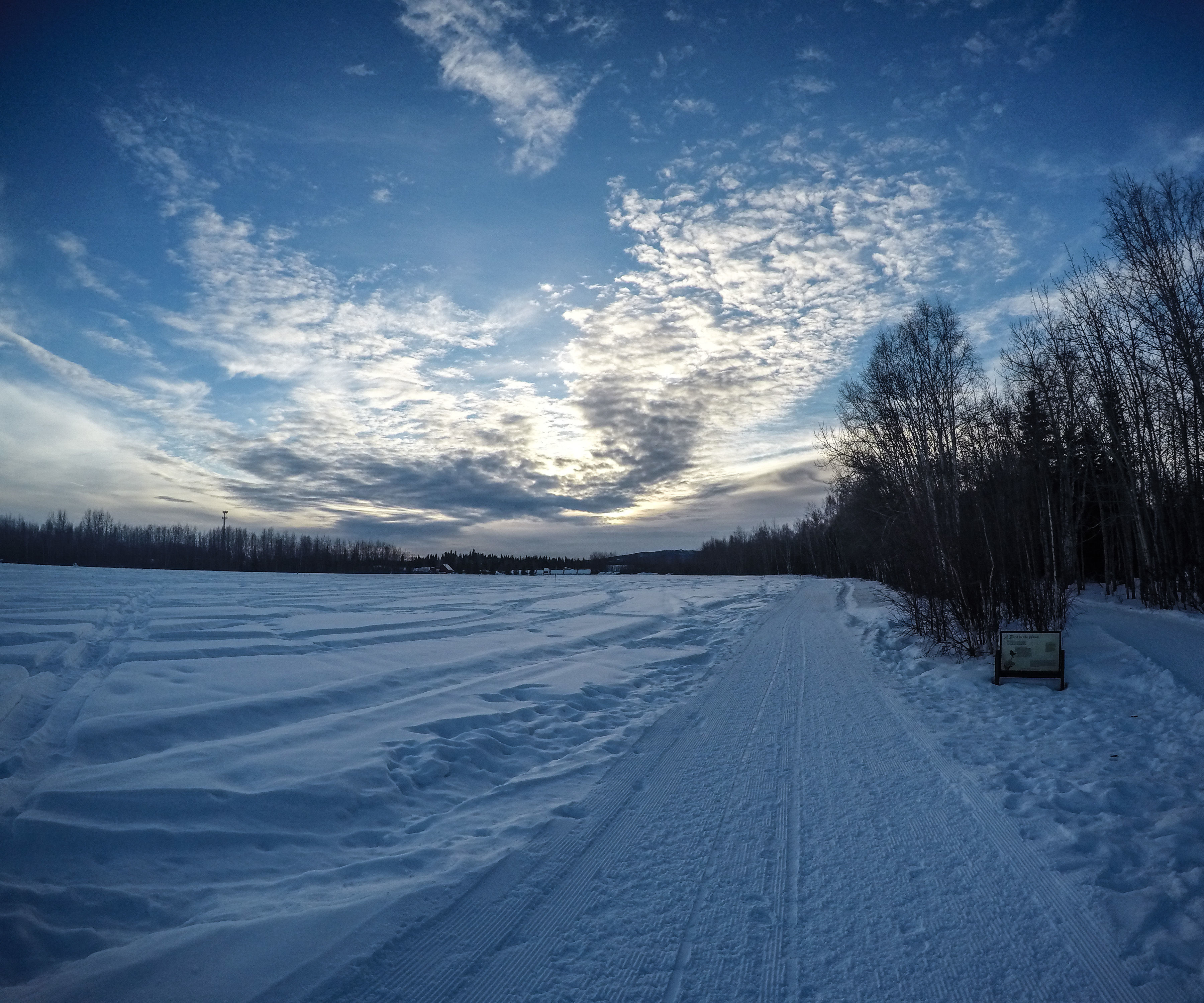 How to Start a Fire With Your Wrist