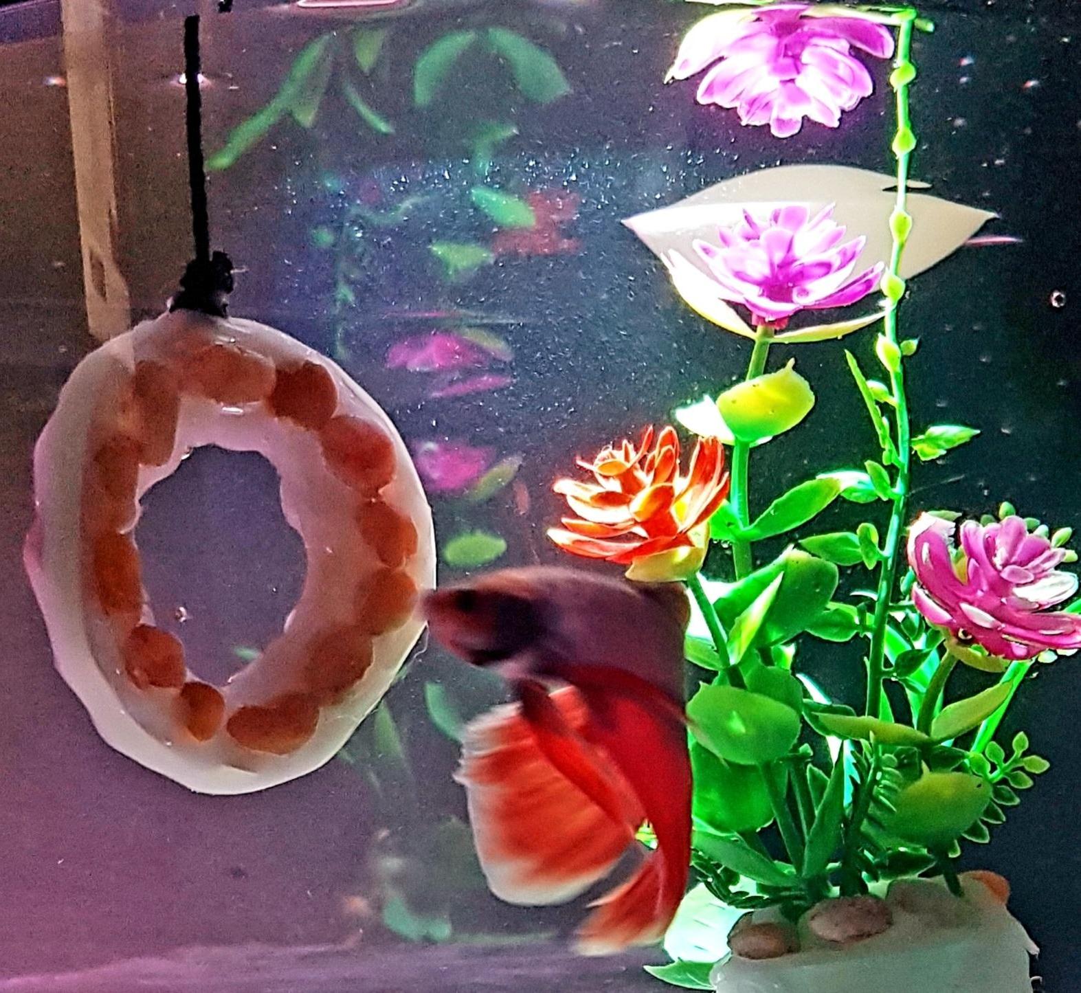Glow Ring for Betta Fish