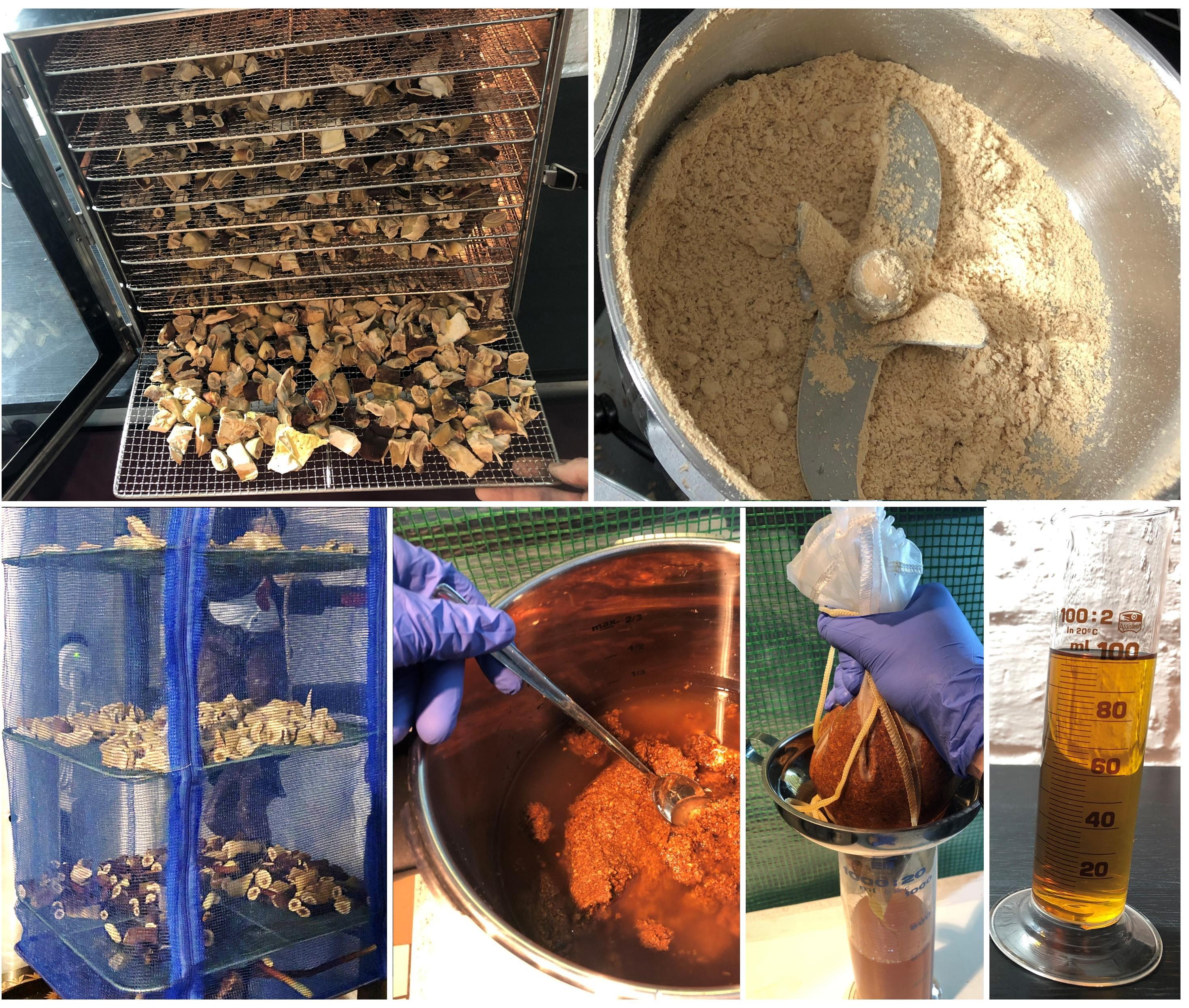 Tincture, Powder, Drying Mushrooms - Every Step Explained With a Video