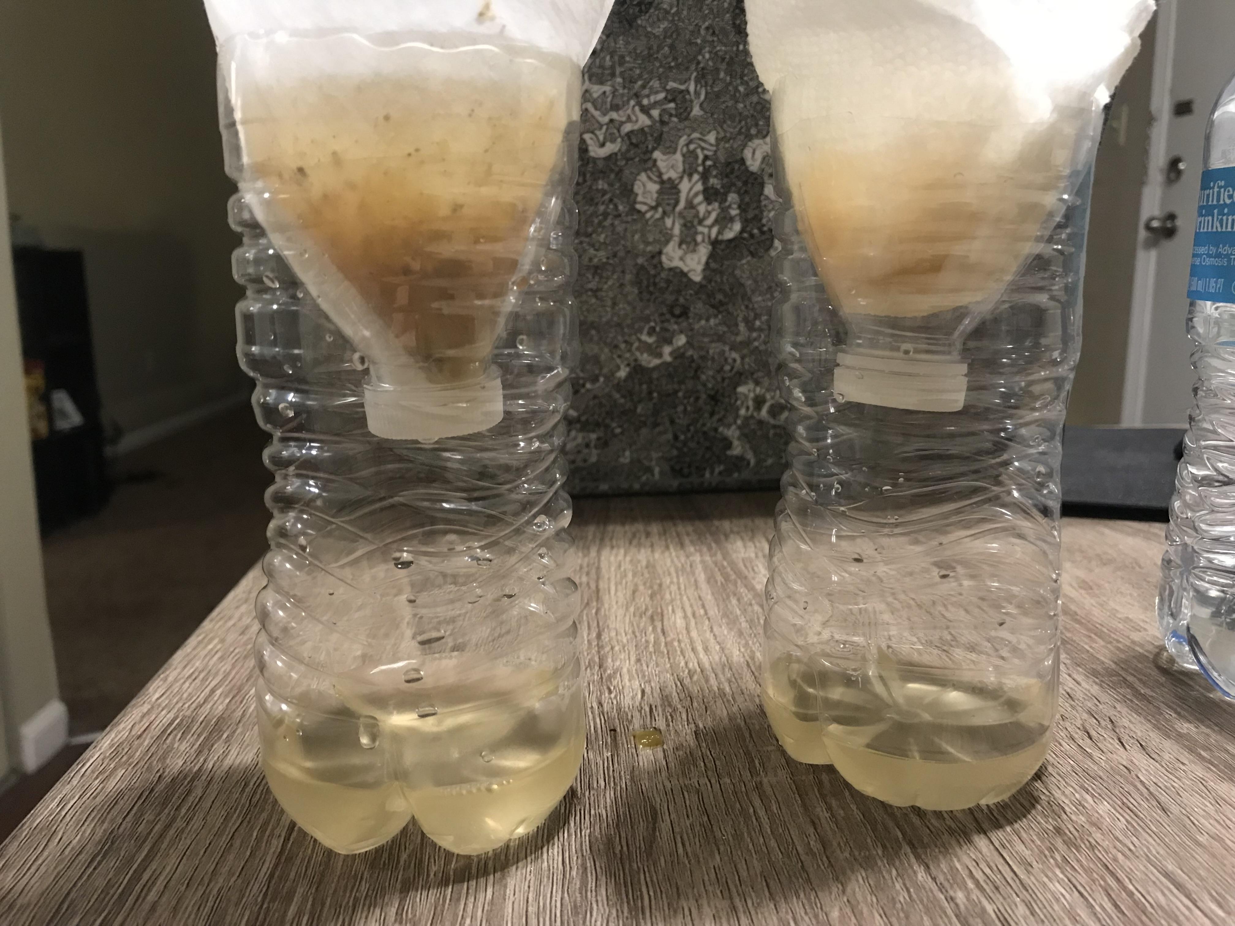 Simple Water Filtration System Experiment