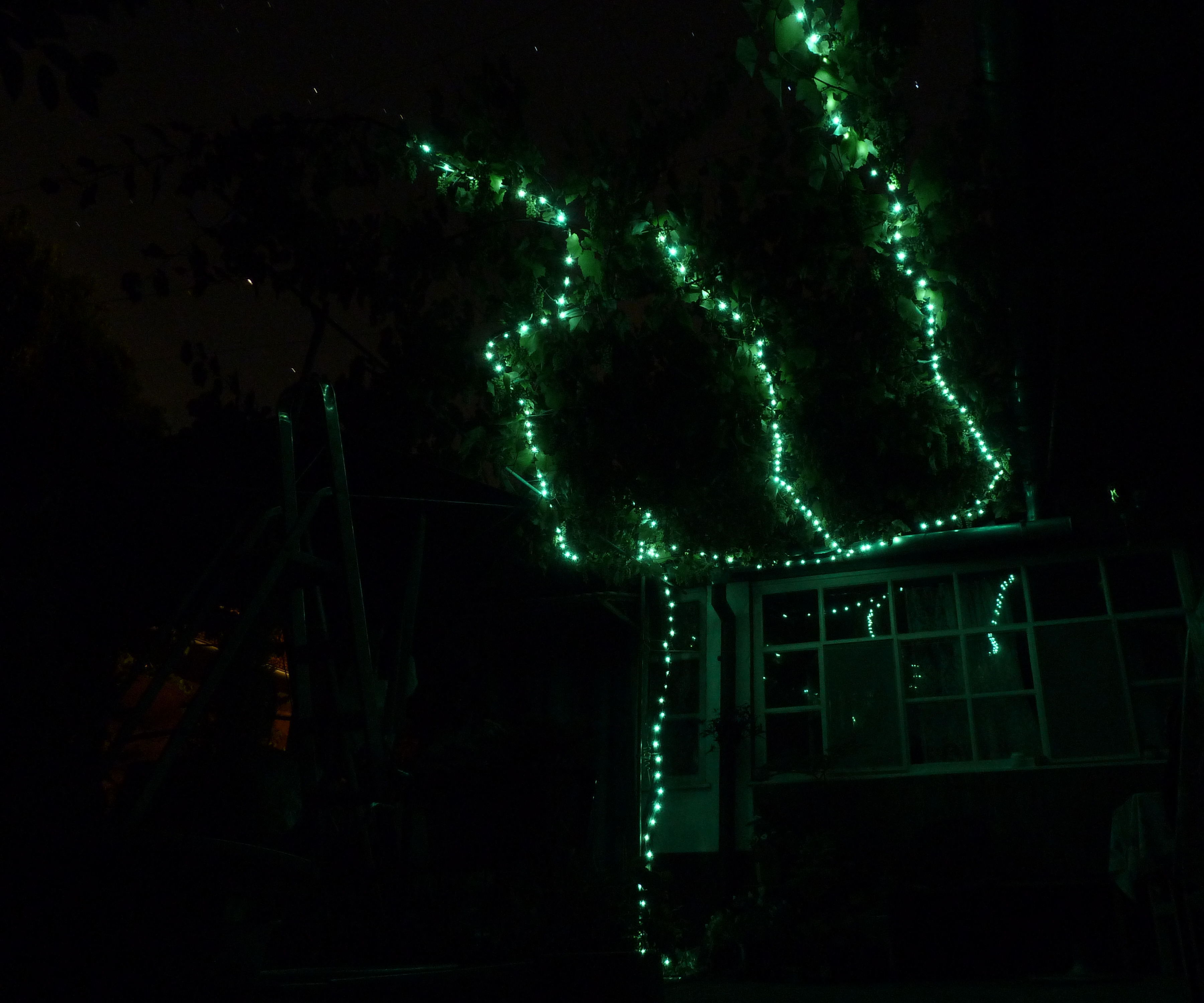 Branch Solar Light for Your Tree, Bush or Wine