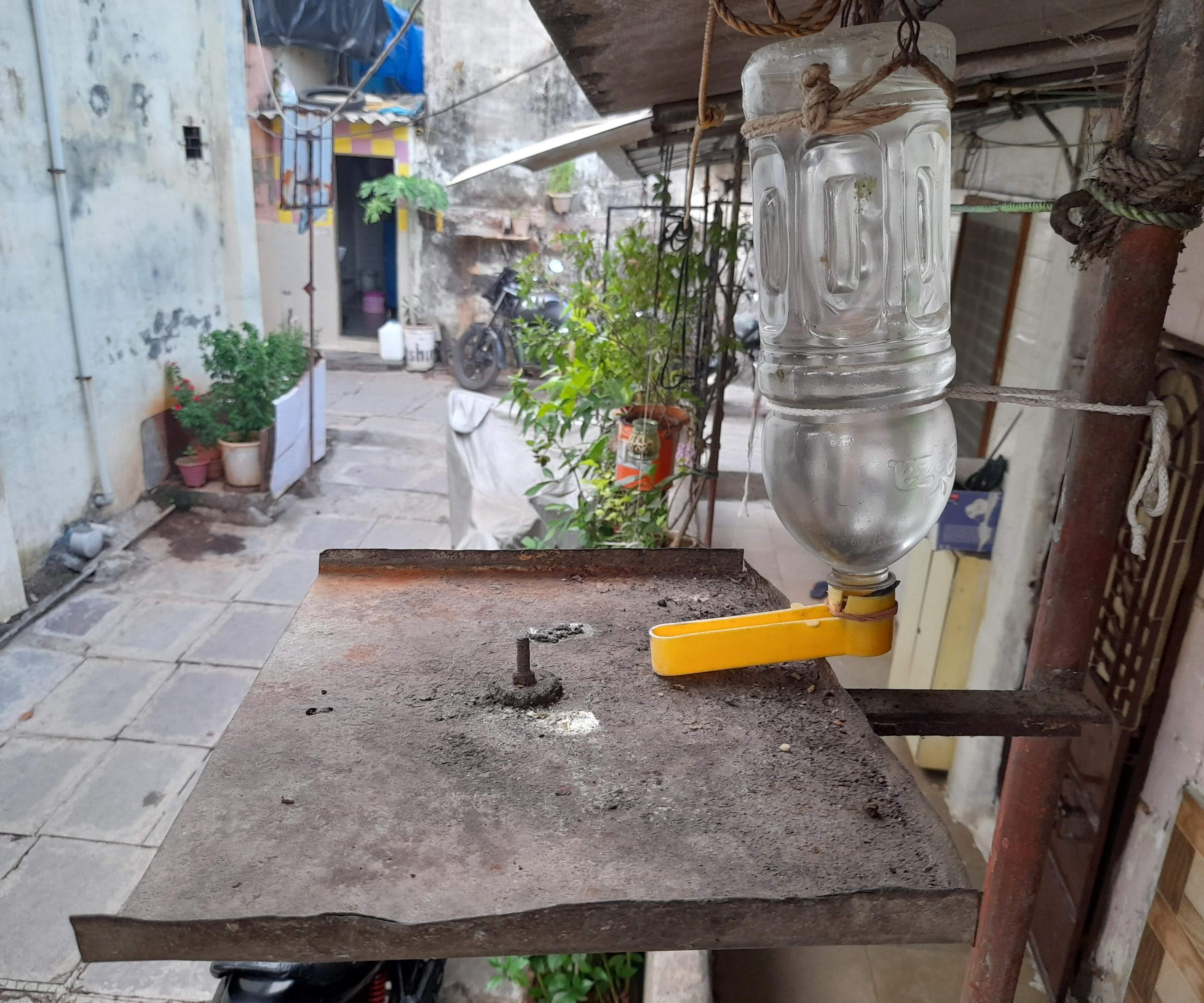 Birds Feeder Platform and Water Feeder