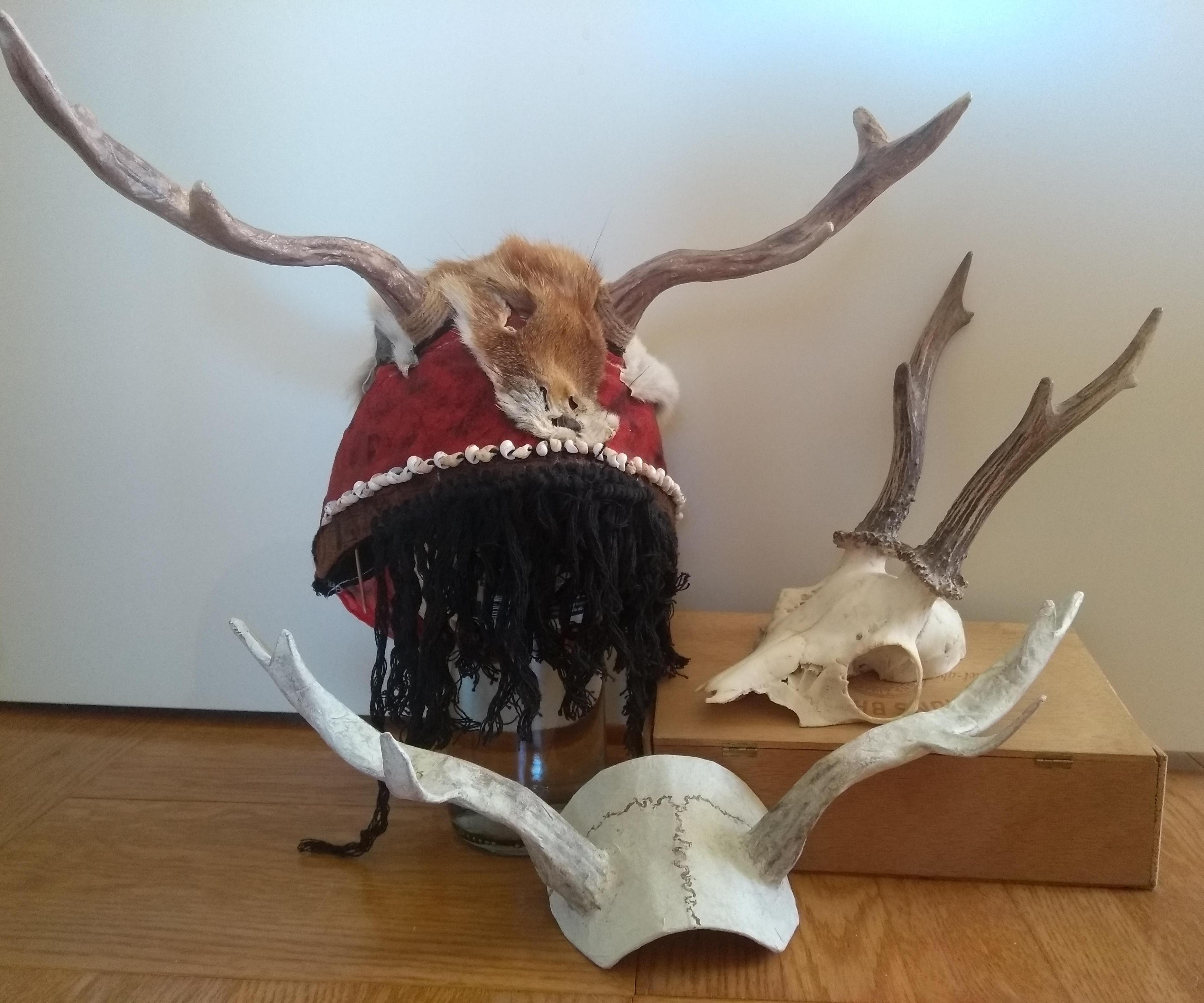 Pretty Realistic Cardboard Antlers