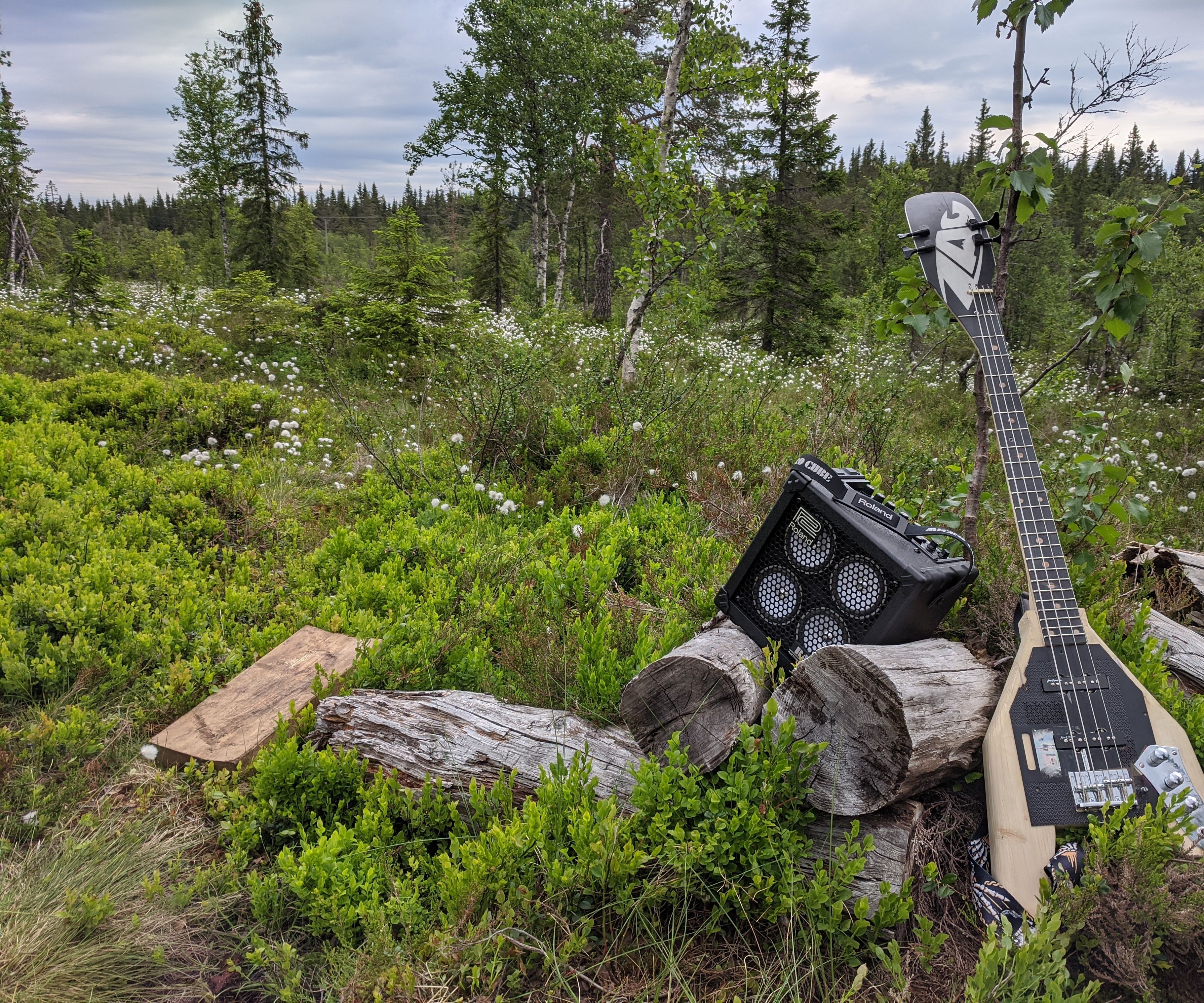 Bass Guitar Made of a Broken Ski.